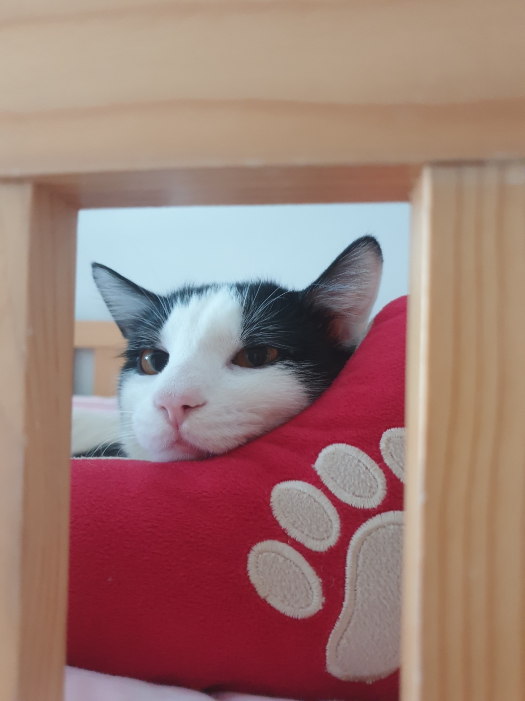 우주는 조금씩, 그러나 열심히 탐색과 적응을 하고 있습니다.