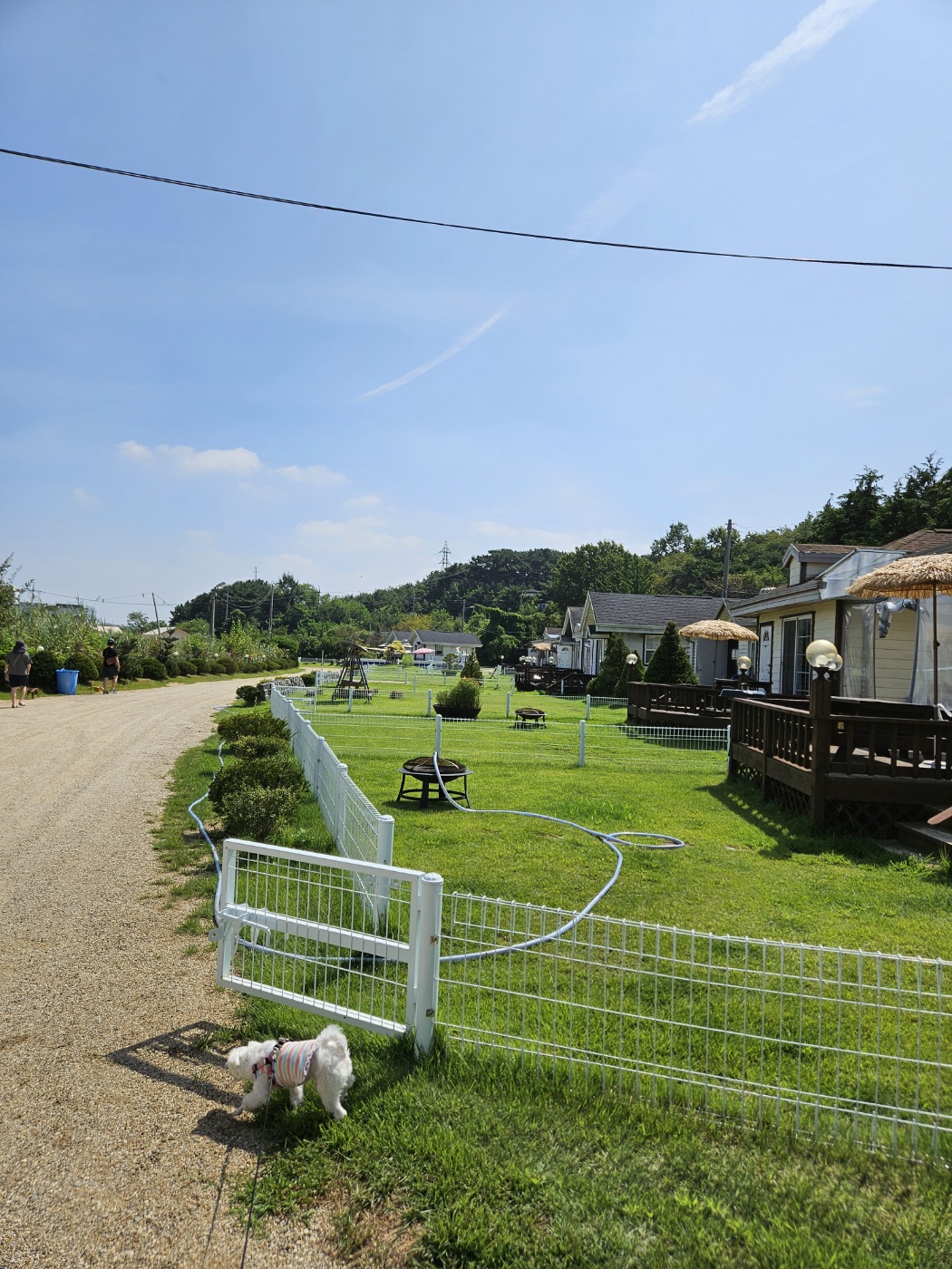 민성이 첫 여행 입양후기