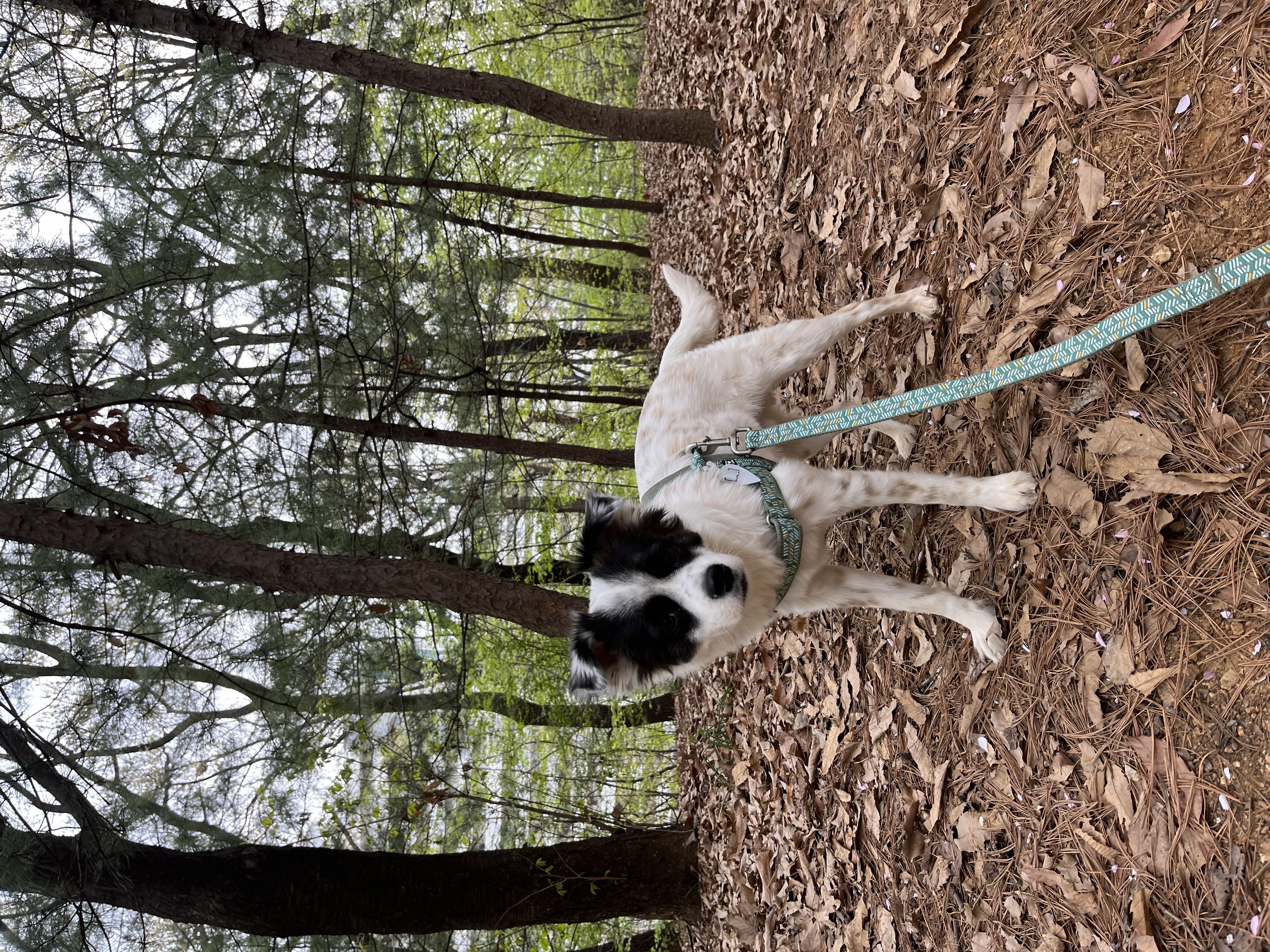 레오 잘 지내고있어요~! 