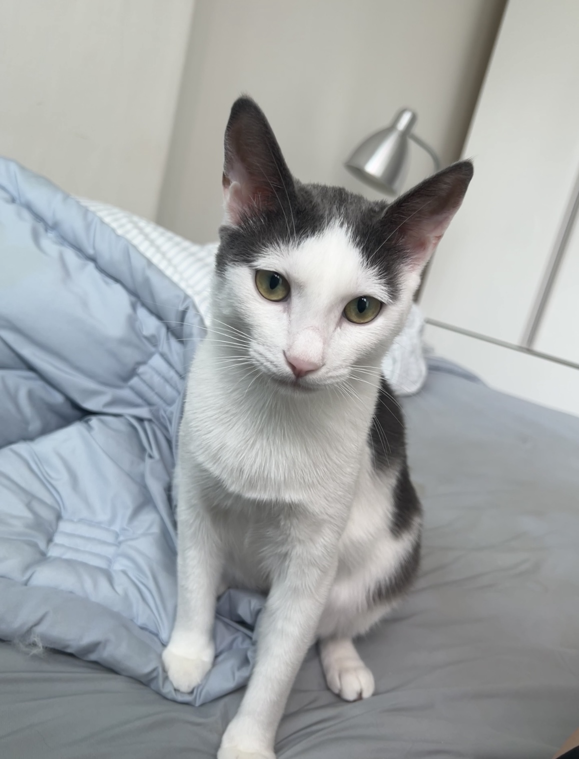 진짜가족이 된 나봄이(조미료)