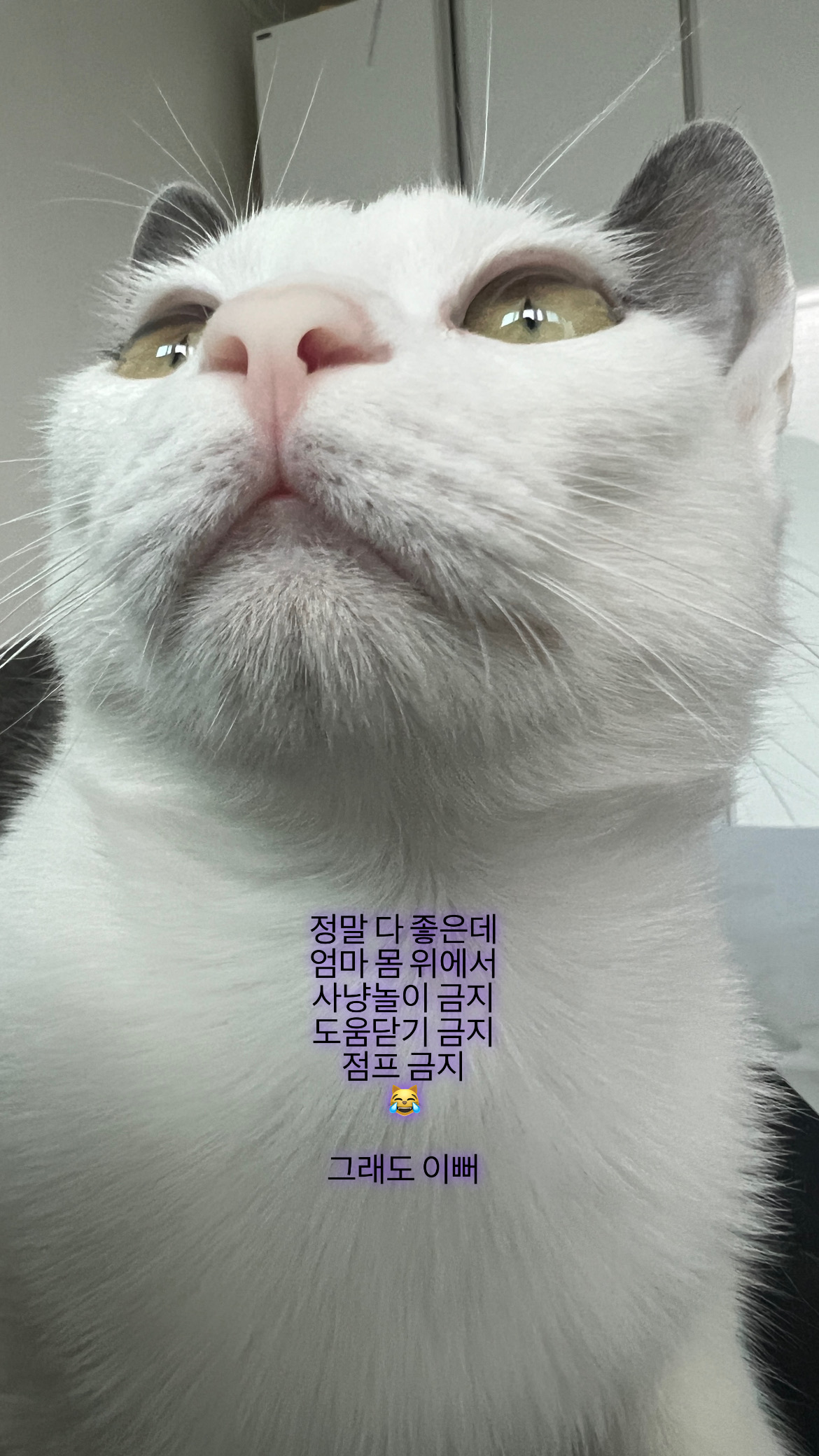 진짜가족이 된 나봄이(조미료)