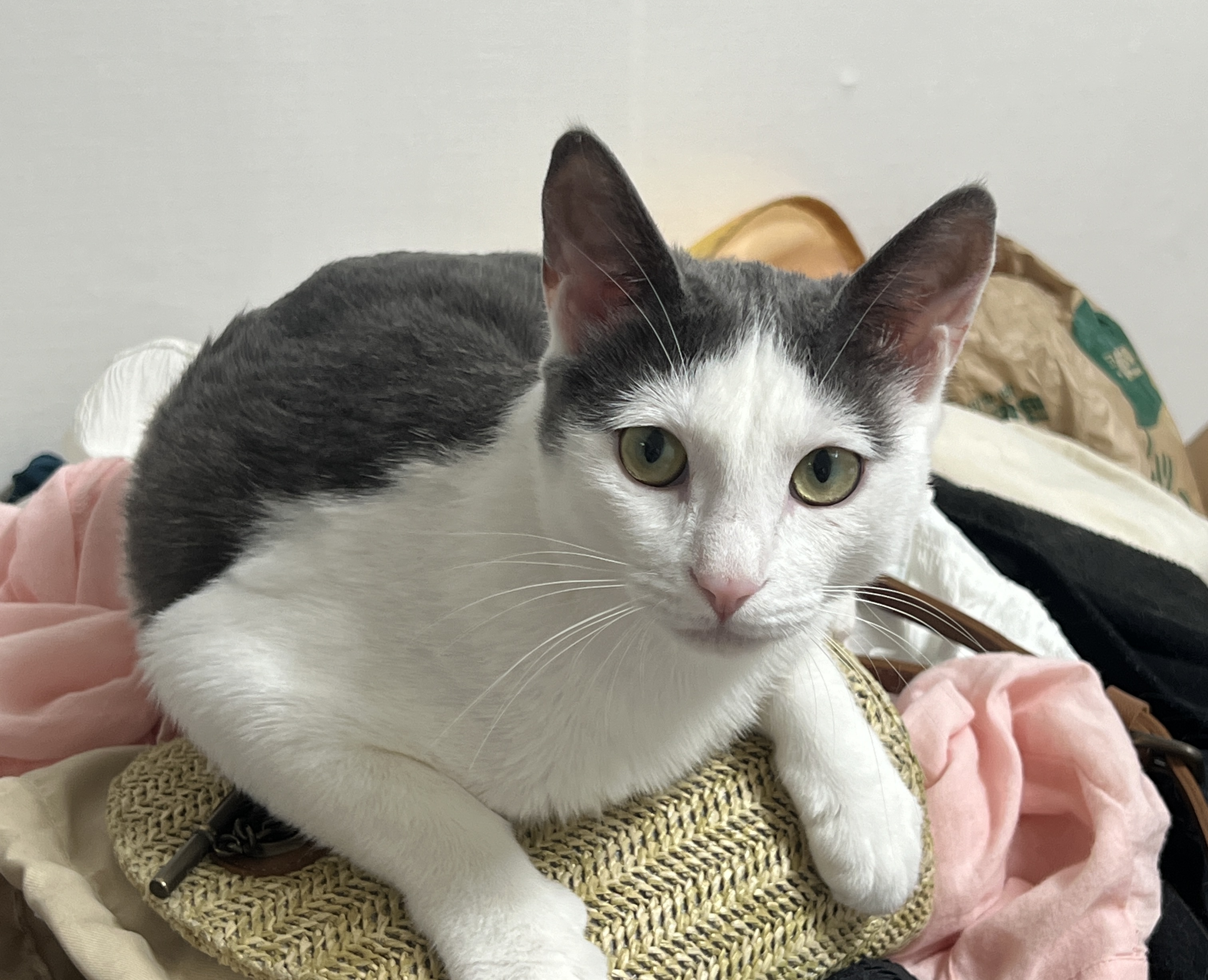 진짜가족이 된 나봄이(조미료)