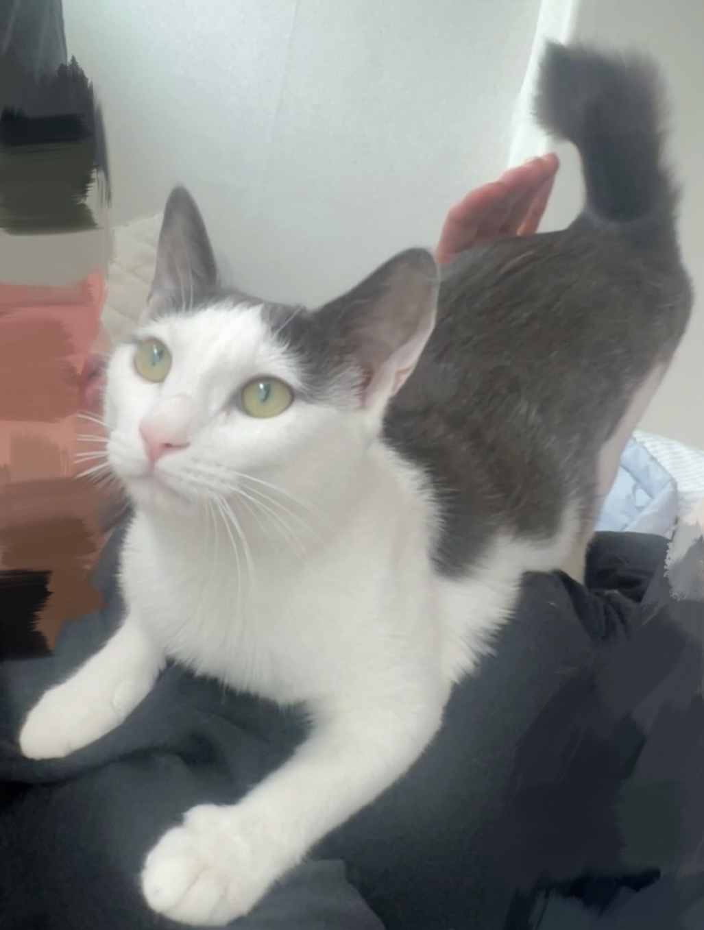 진짜가족이 된 나봄이(조미료)