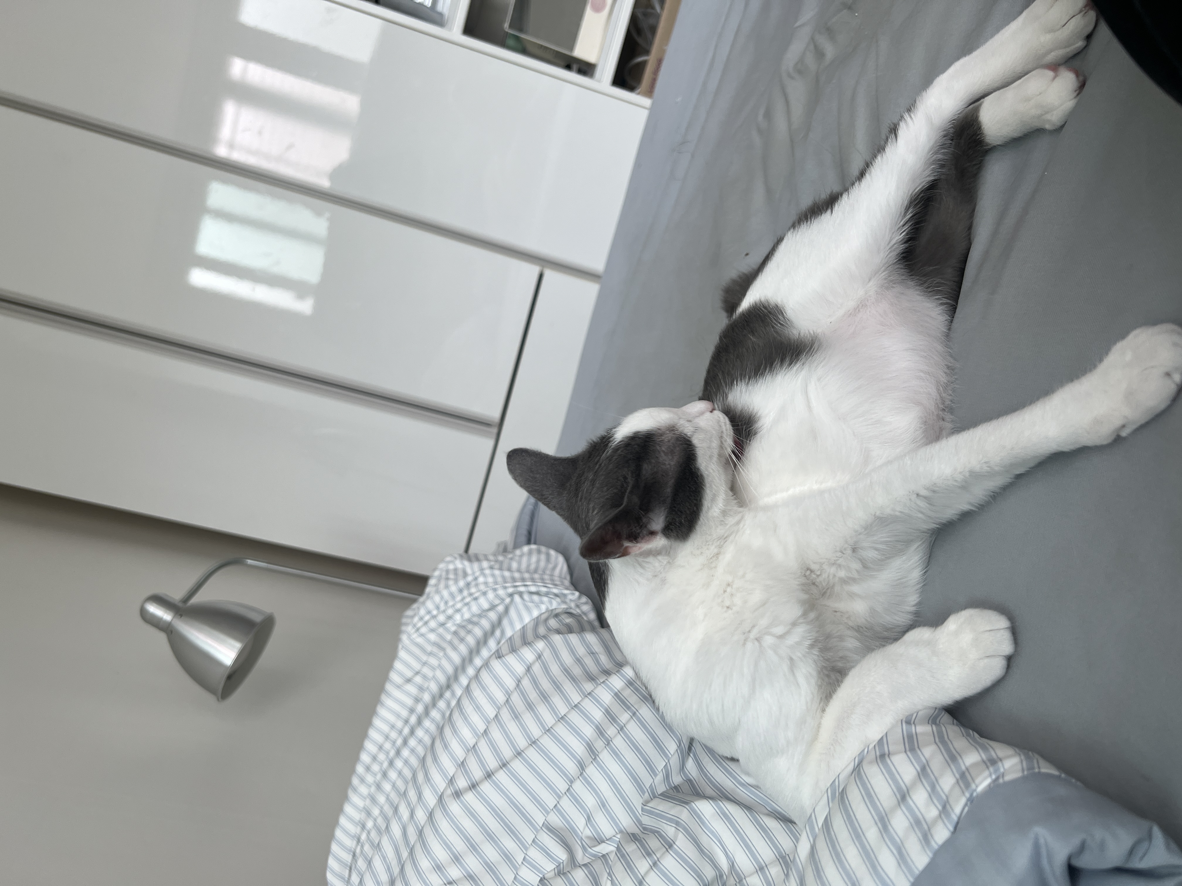 진짜가족이 된 나봄이(조미료)