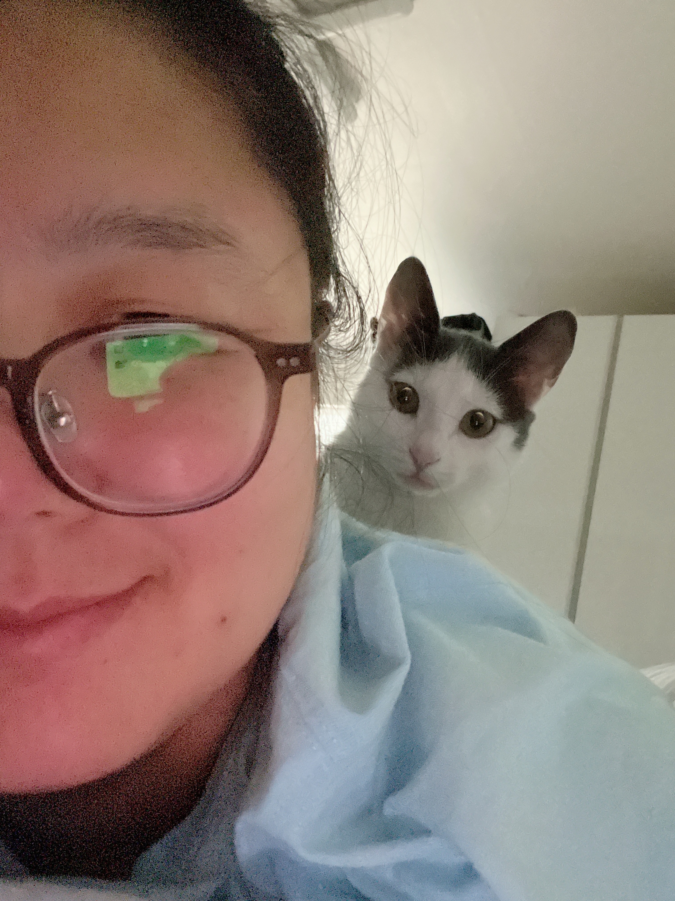 진짜가족이 된 나봄이(조미료)