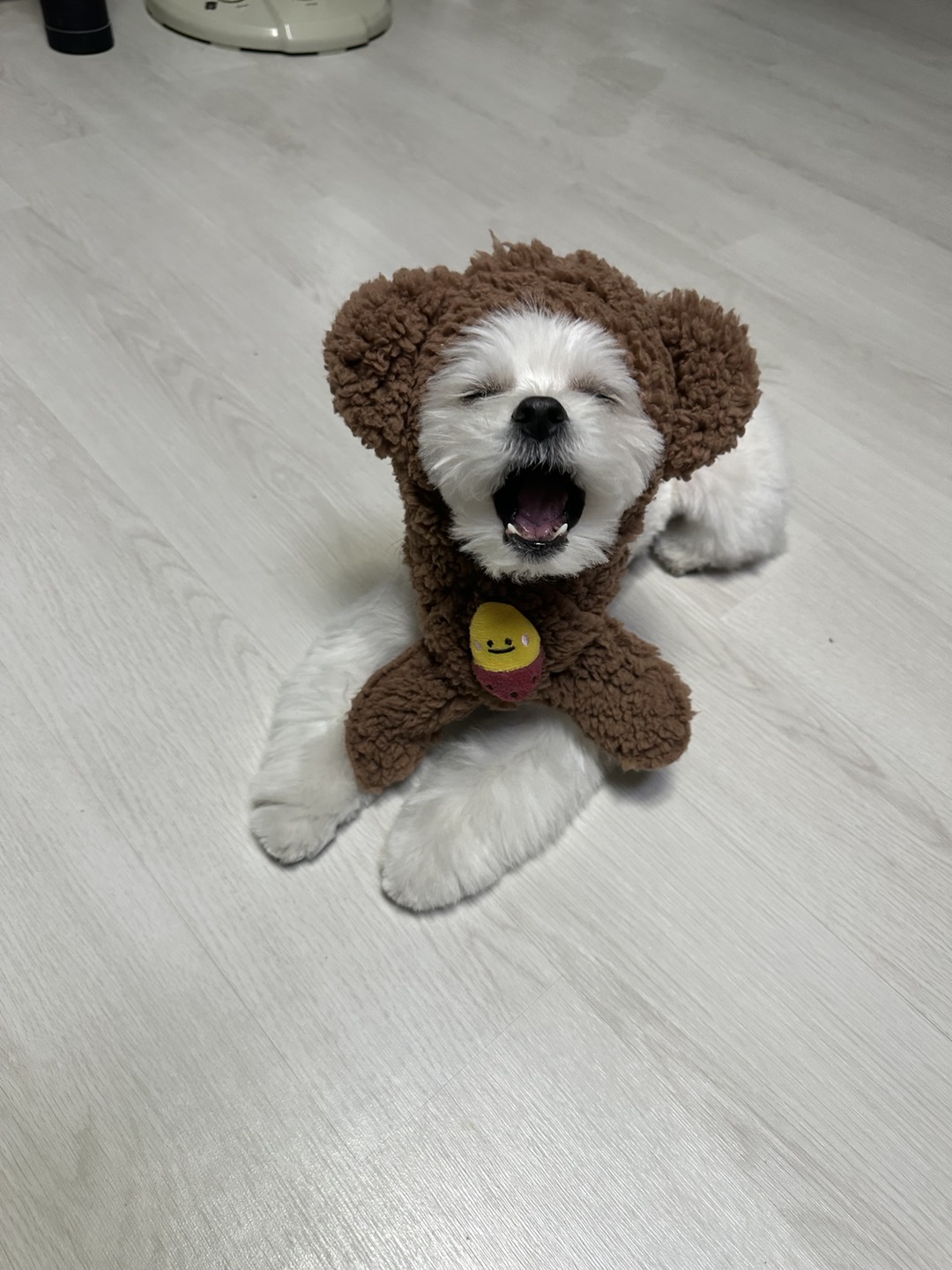 설기(구 오식이) 잘 지내요