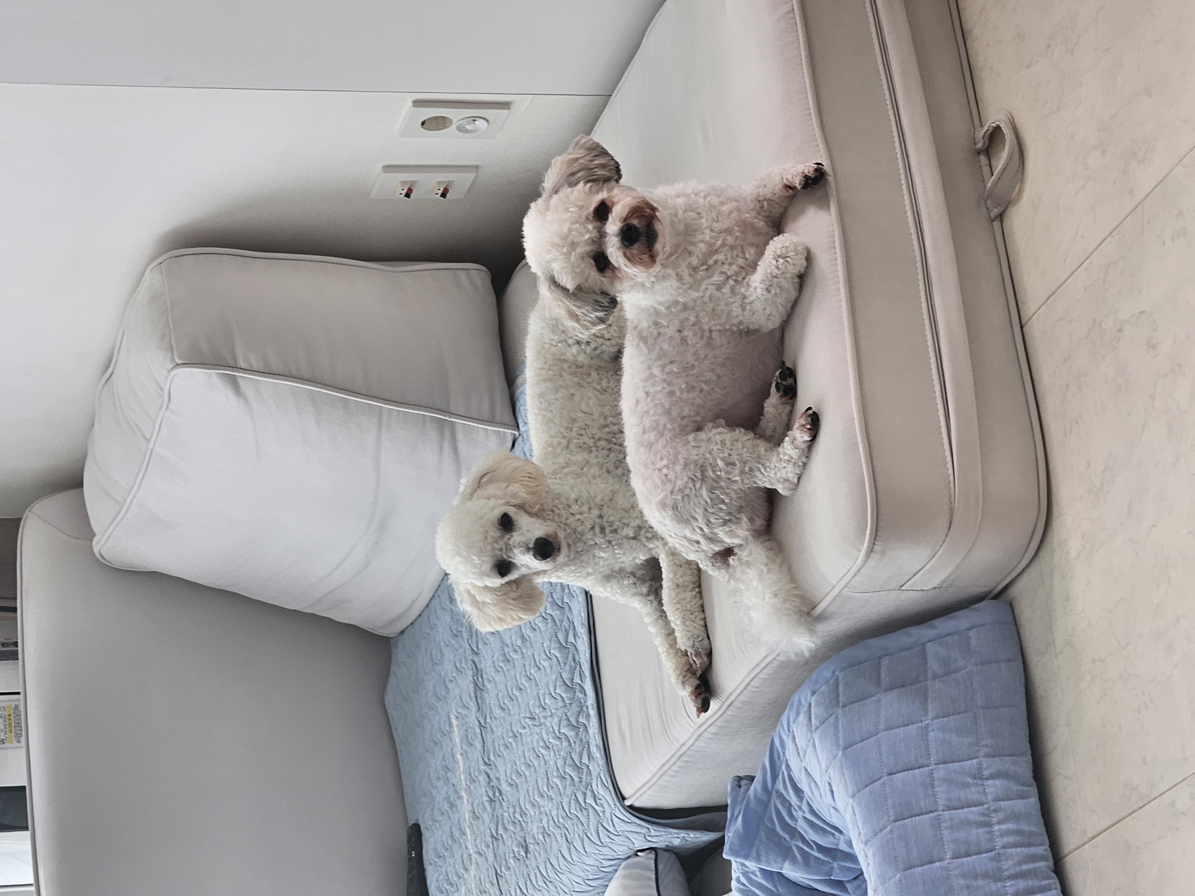 앙앙이임보 1주차