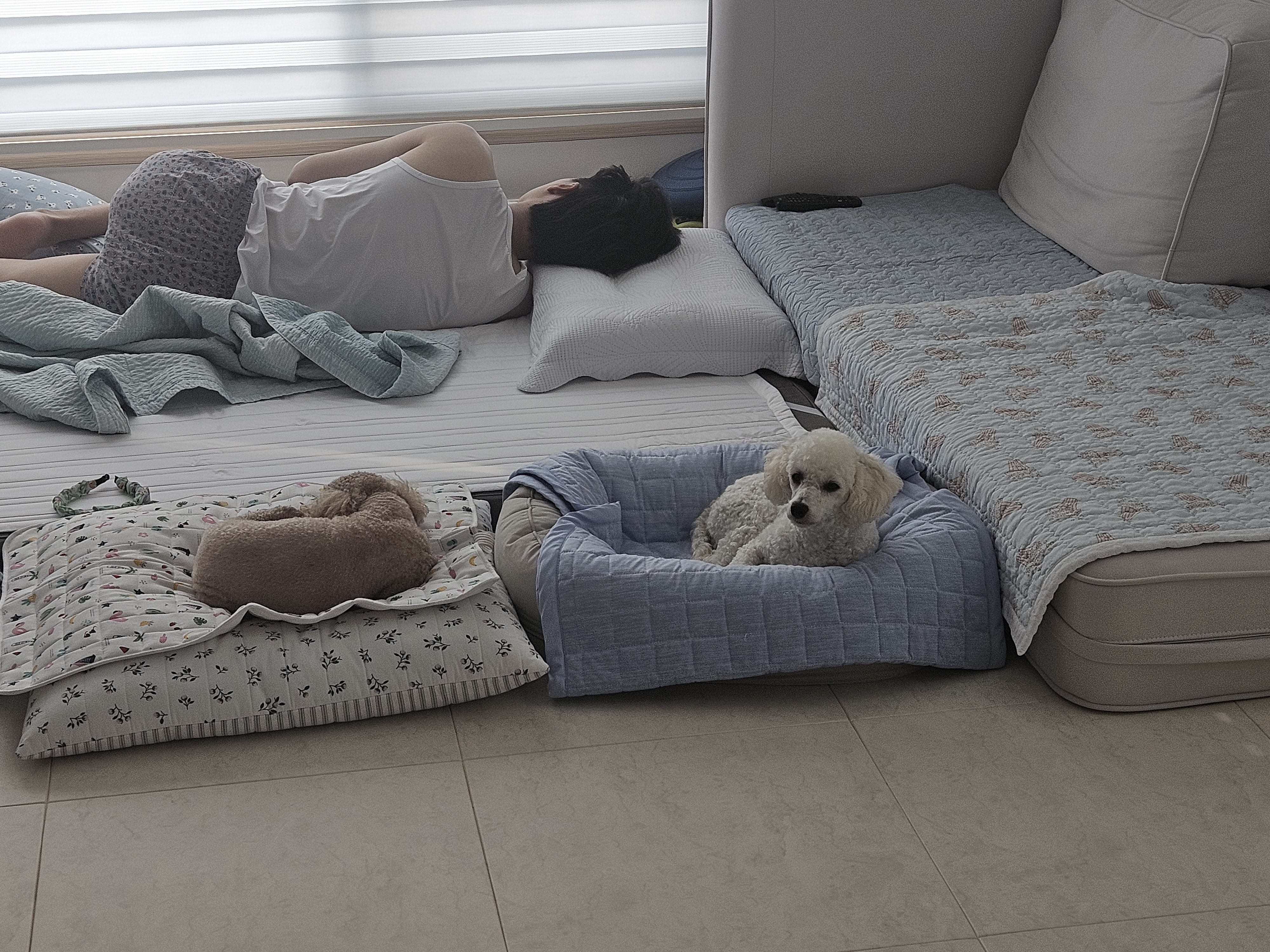 앙앙이임보 1주차