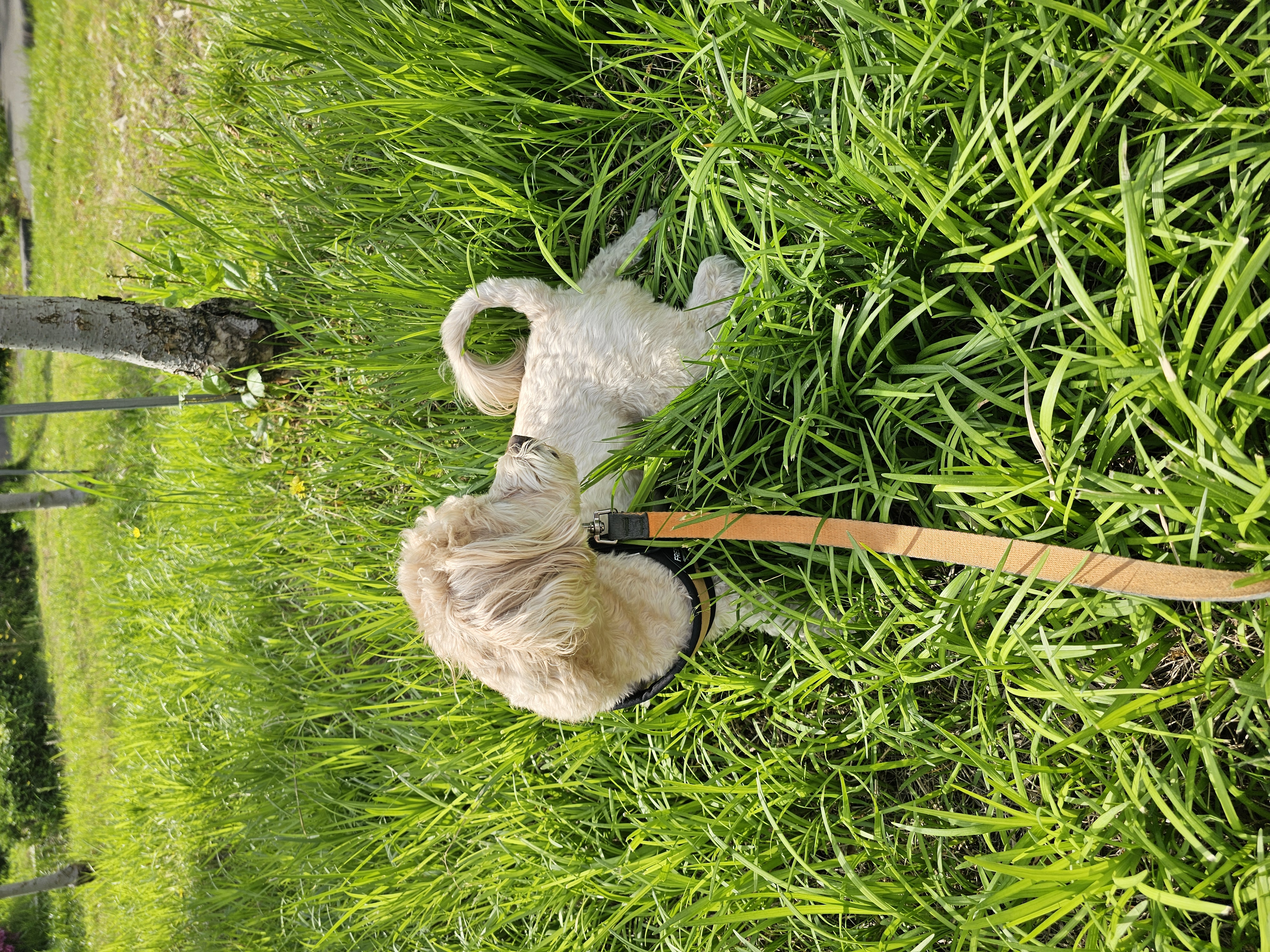 모아(론이) 세상에 하나 뿐인 귀한 내 새끼~~~