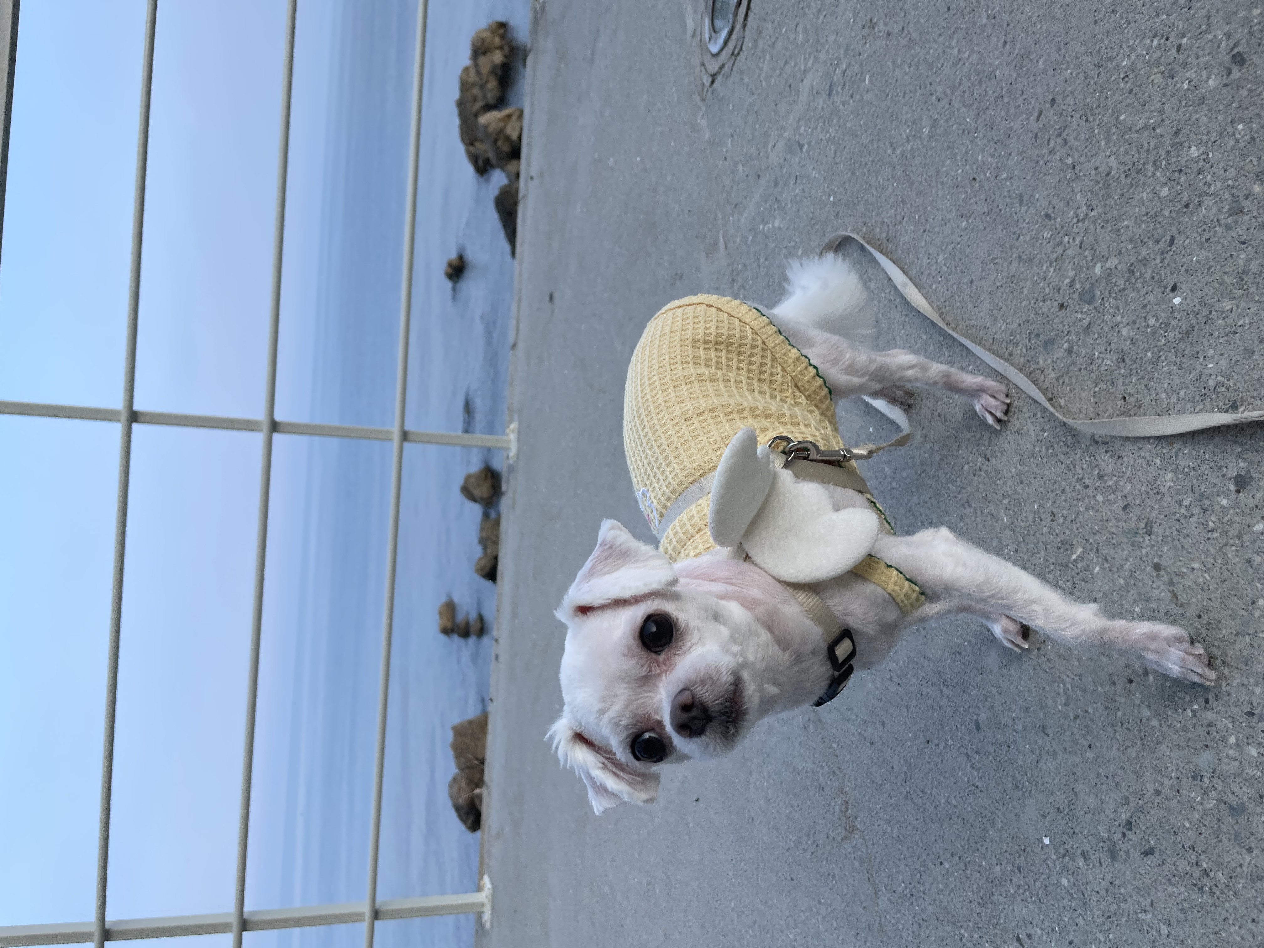 복담(구 쁘니) 5개월차