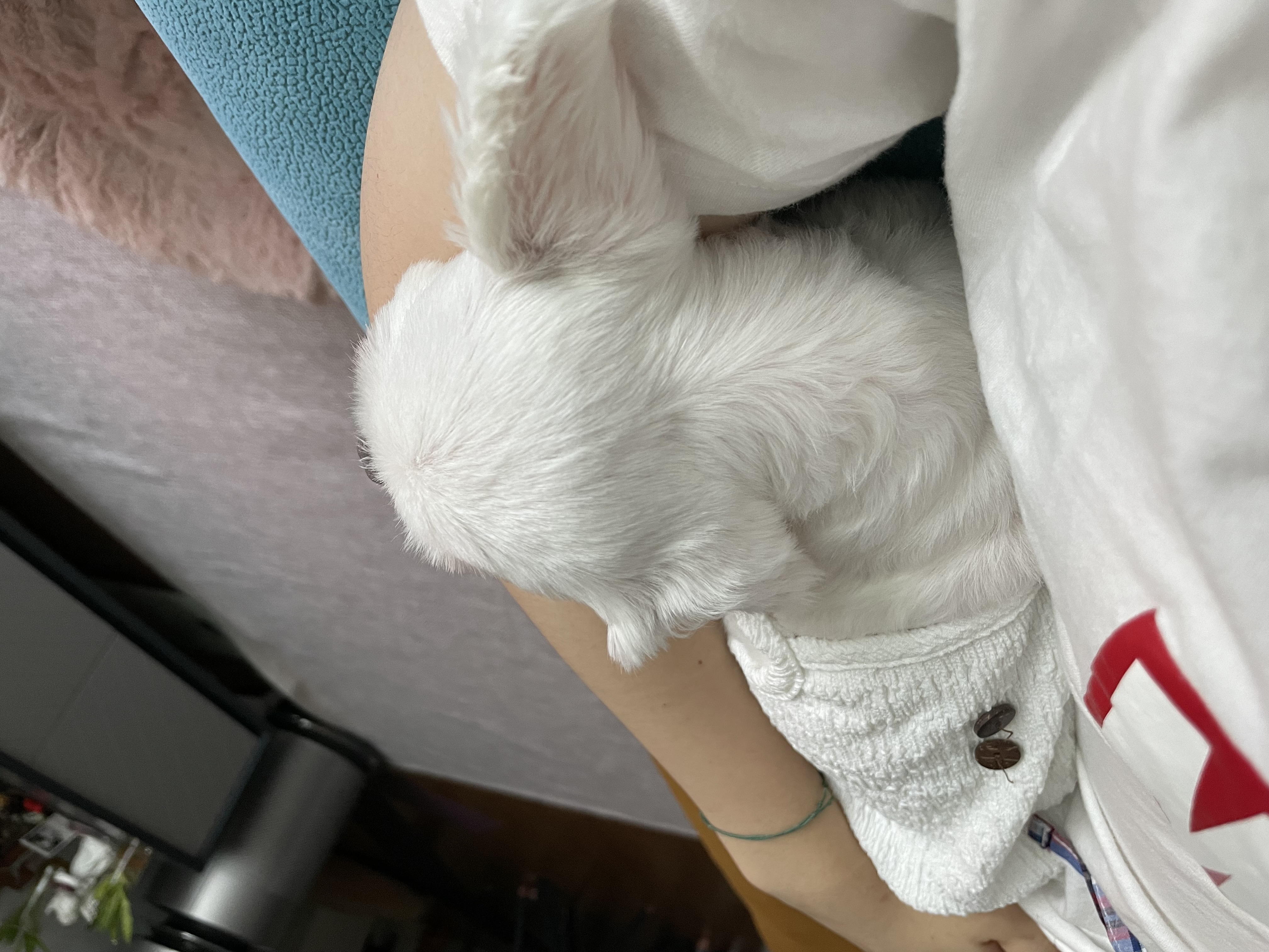 복담(구 쁘니) 5개월차