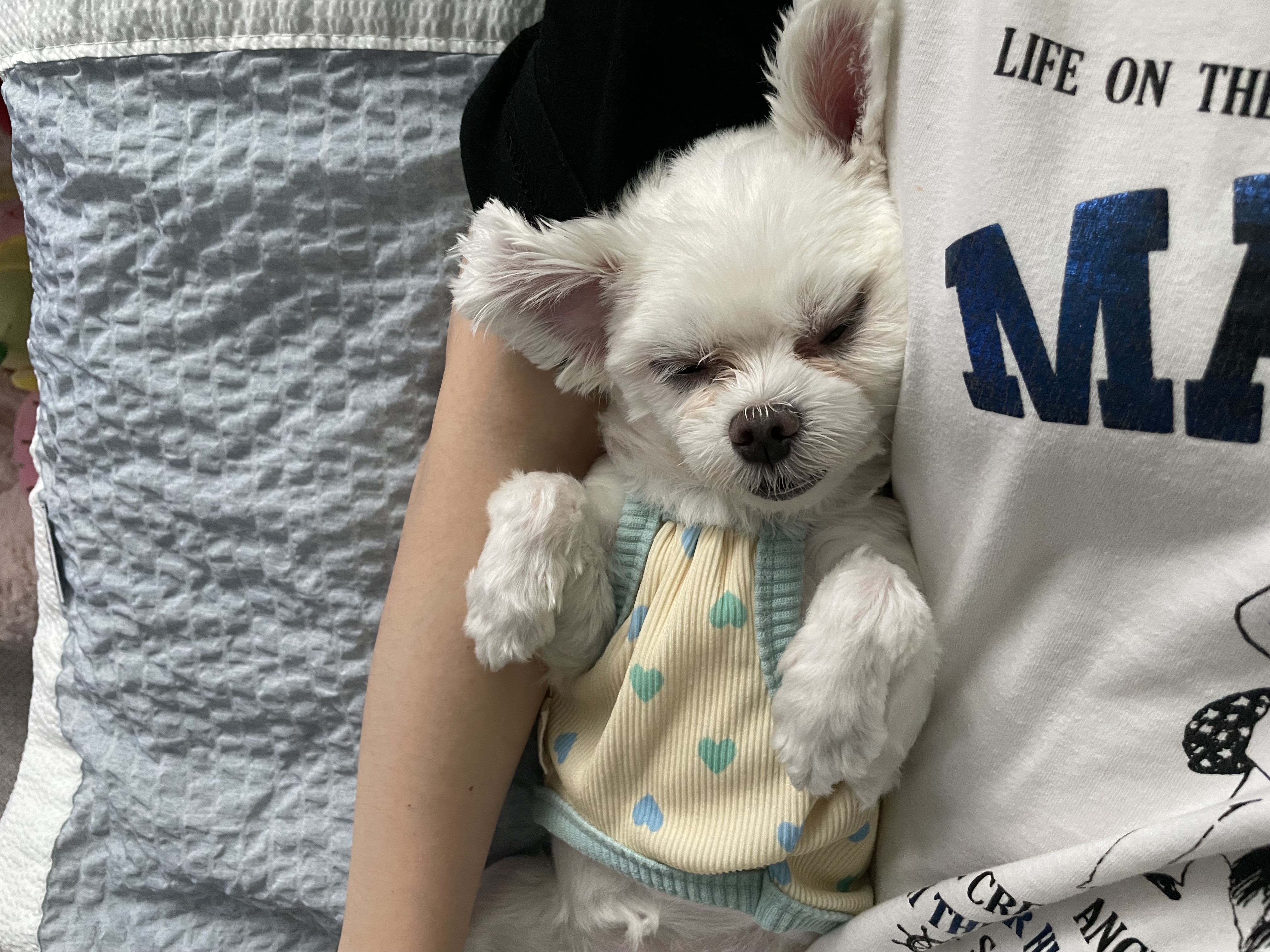 복담(구 쁘니) 5개월차