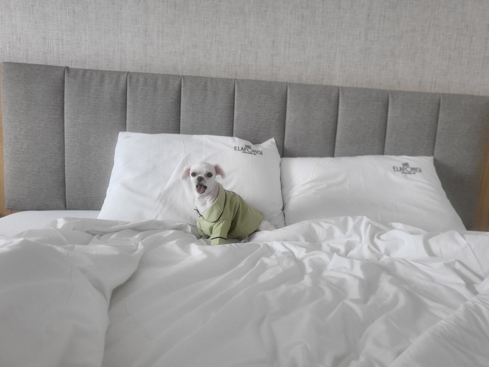 복담(구 쁘니) 5개월차