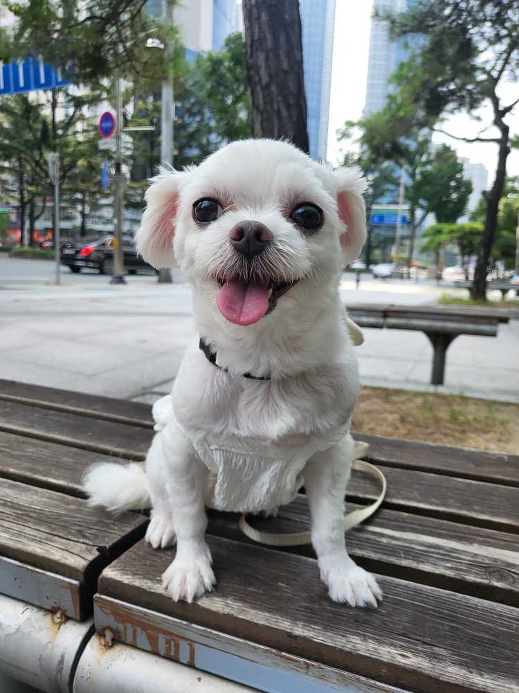 복담(구 쁘니) 5개월차