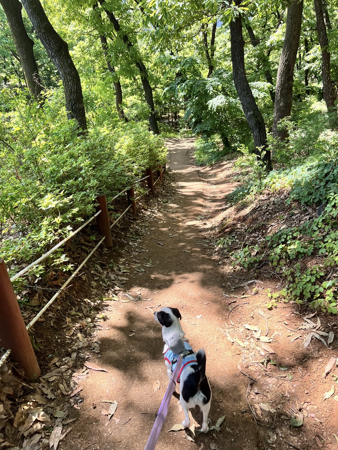 가을이(모뜨) 인사드립니다~