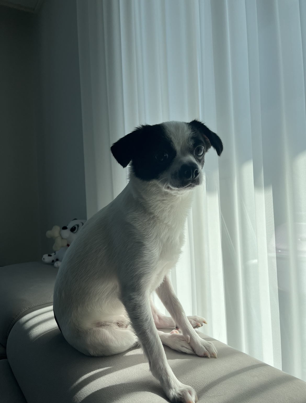 가을이(모뜨) 인사드립니다~