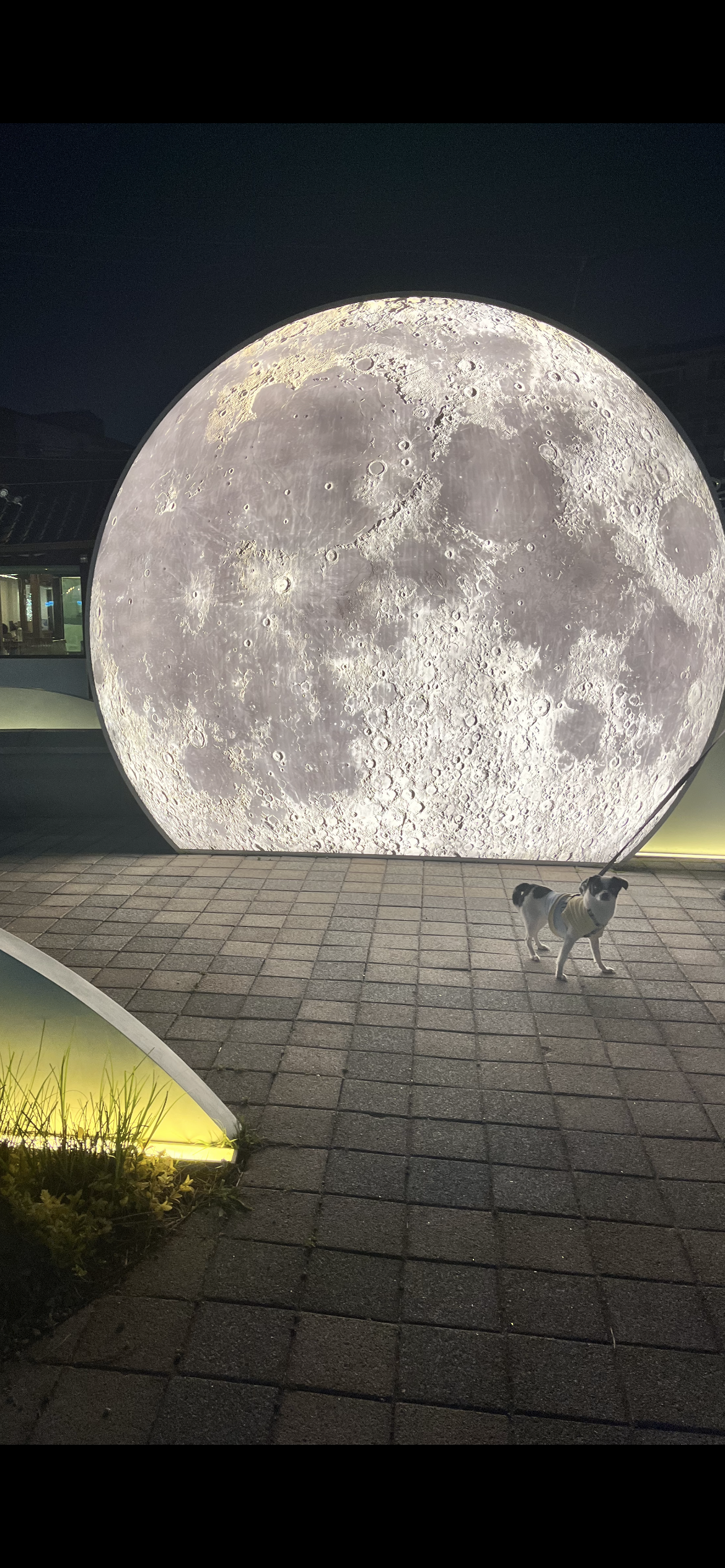 가을이(모뜨) 인사드립니다~