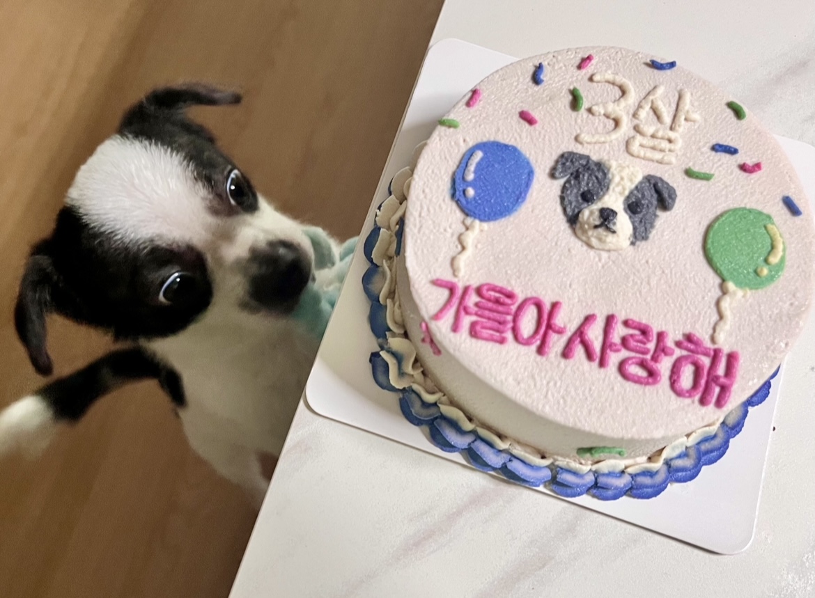 가을이(모뜨) 인사드립니다~