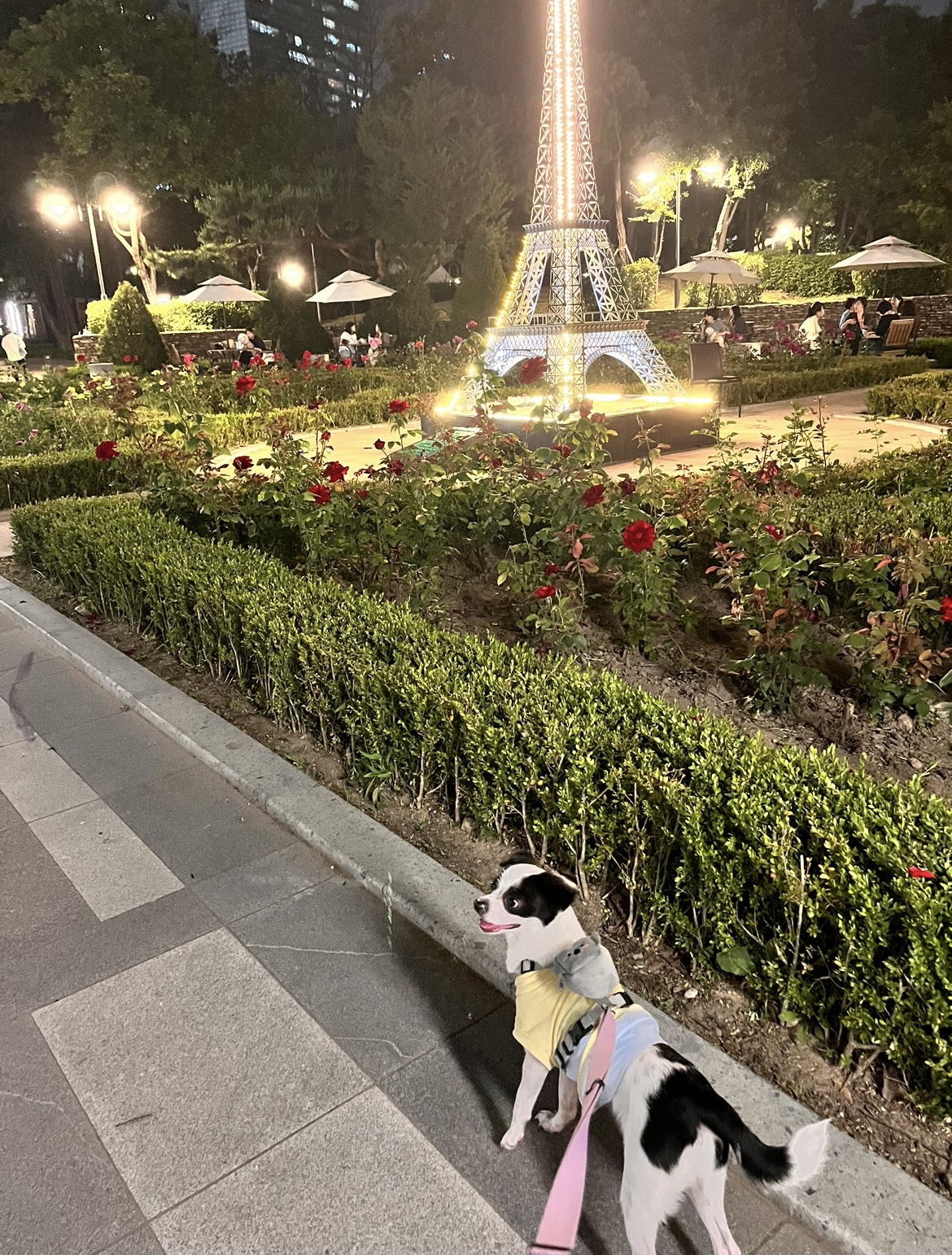 가을이(모뜨) 인사드립니다~