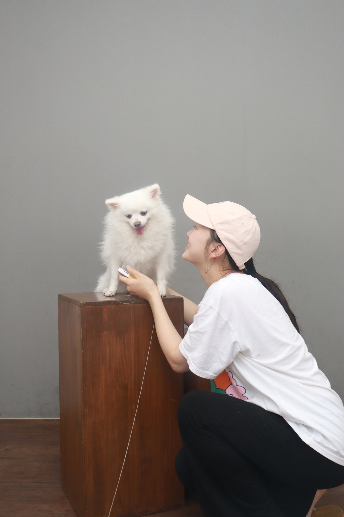 귀염둥이 하유랑의 매일매일이 행복해요 (임보일기)