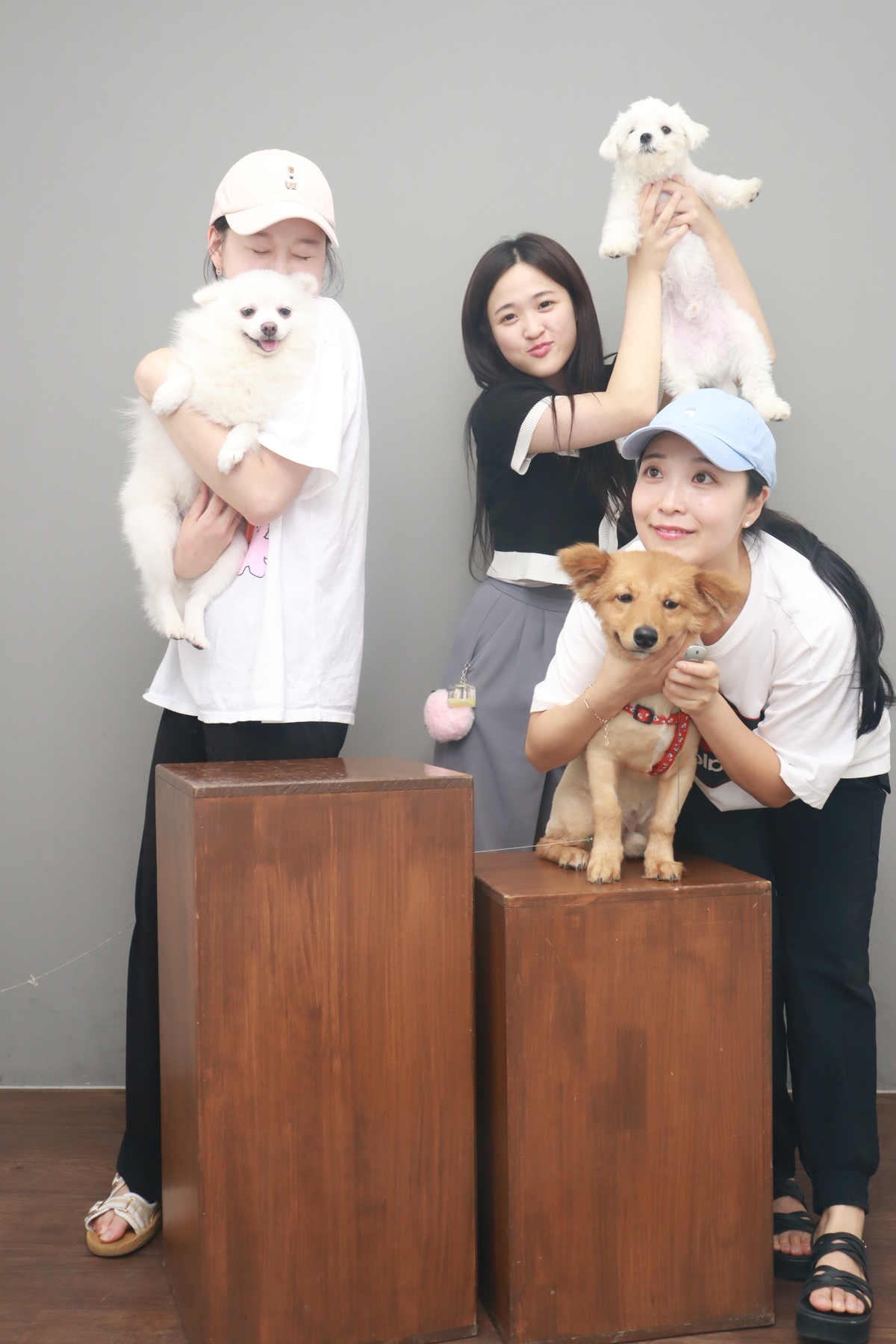 귀염둥이 하유랑의 매일매일이 행복해요 (임보일기)