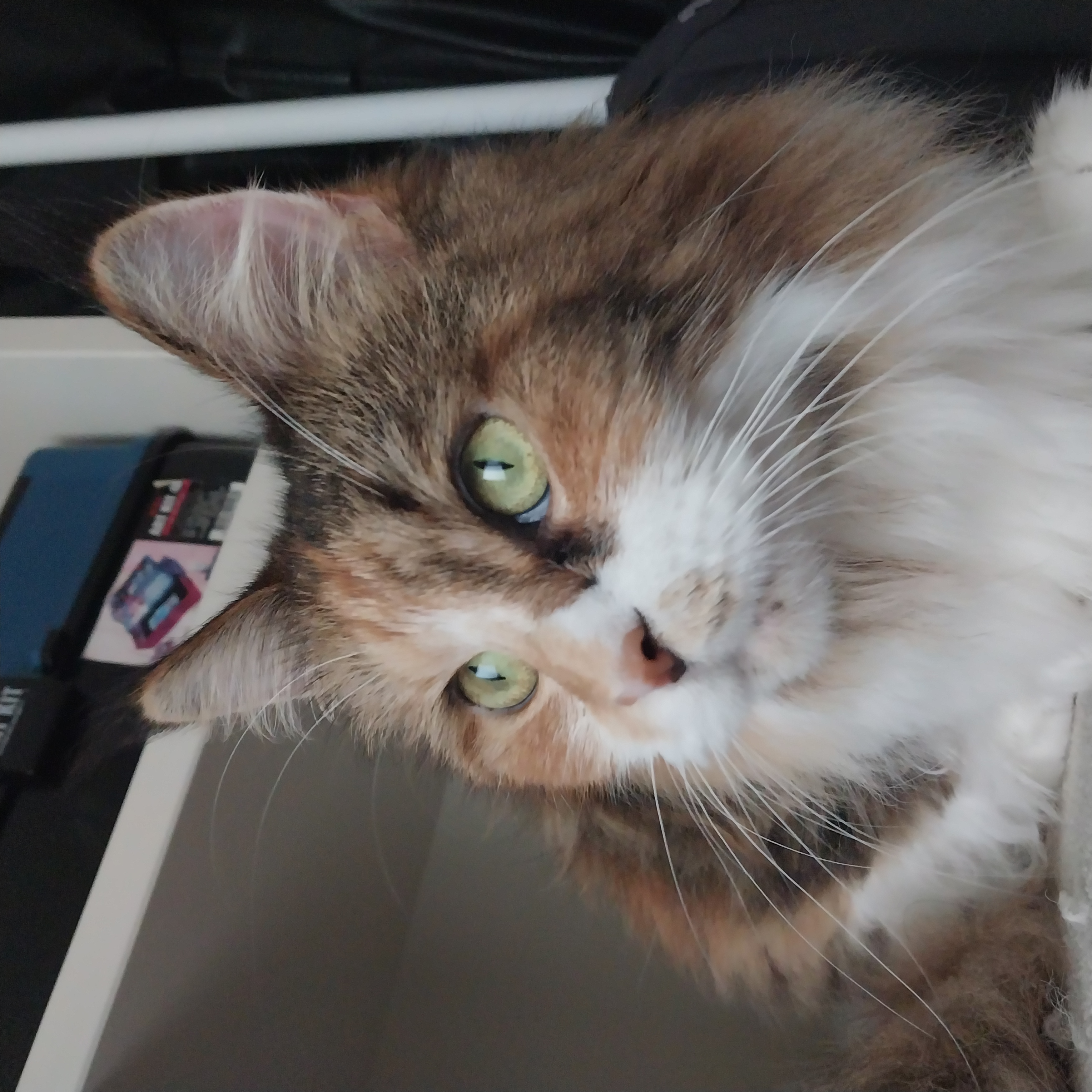 9개월차 웨이 근황