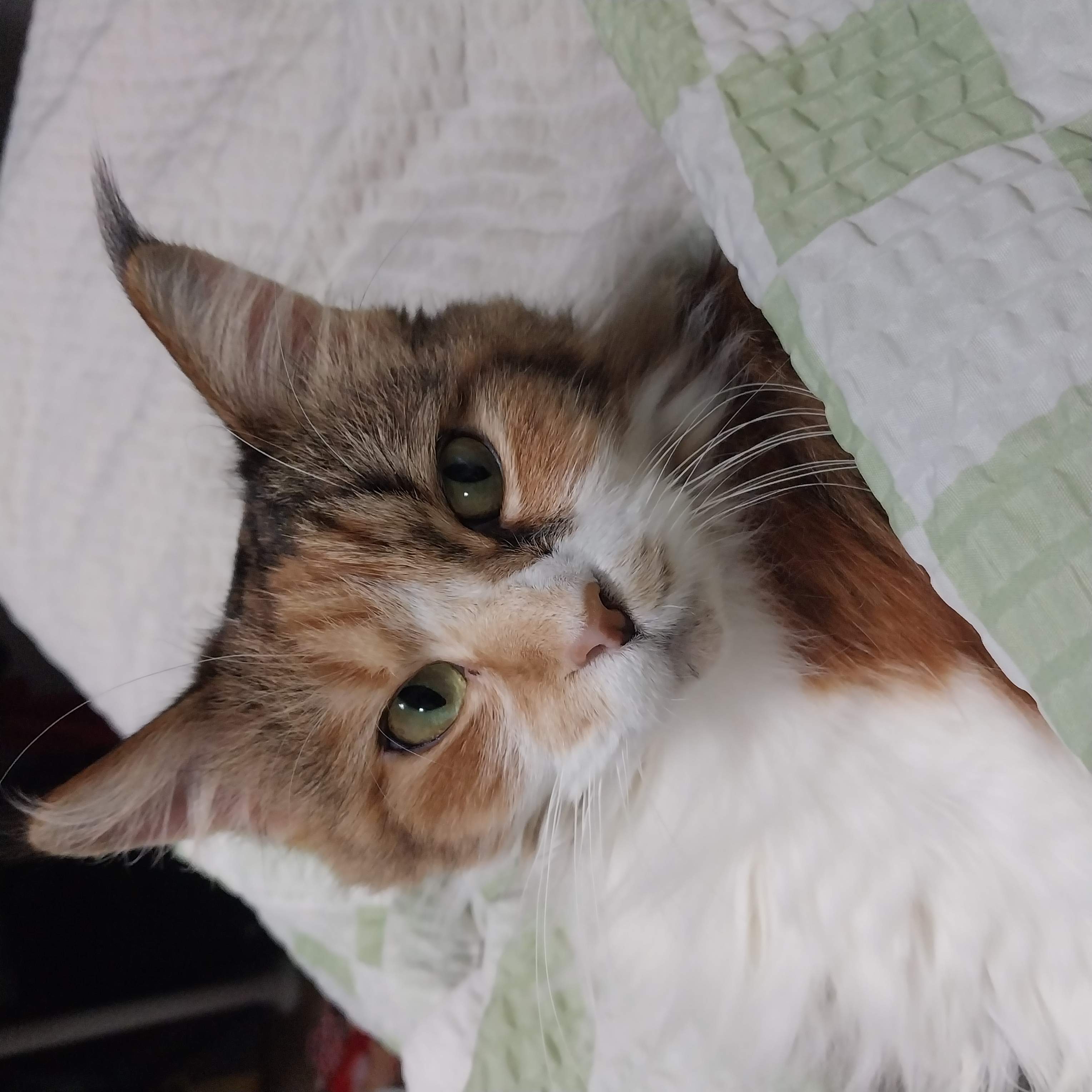 9개월차 웨이 근황