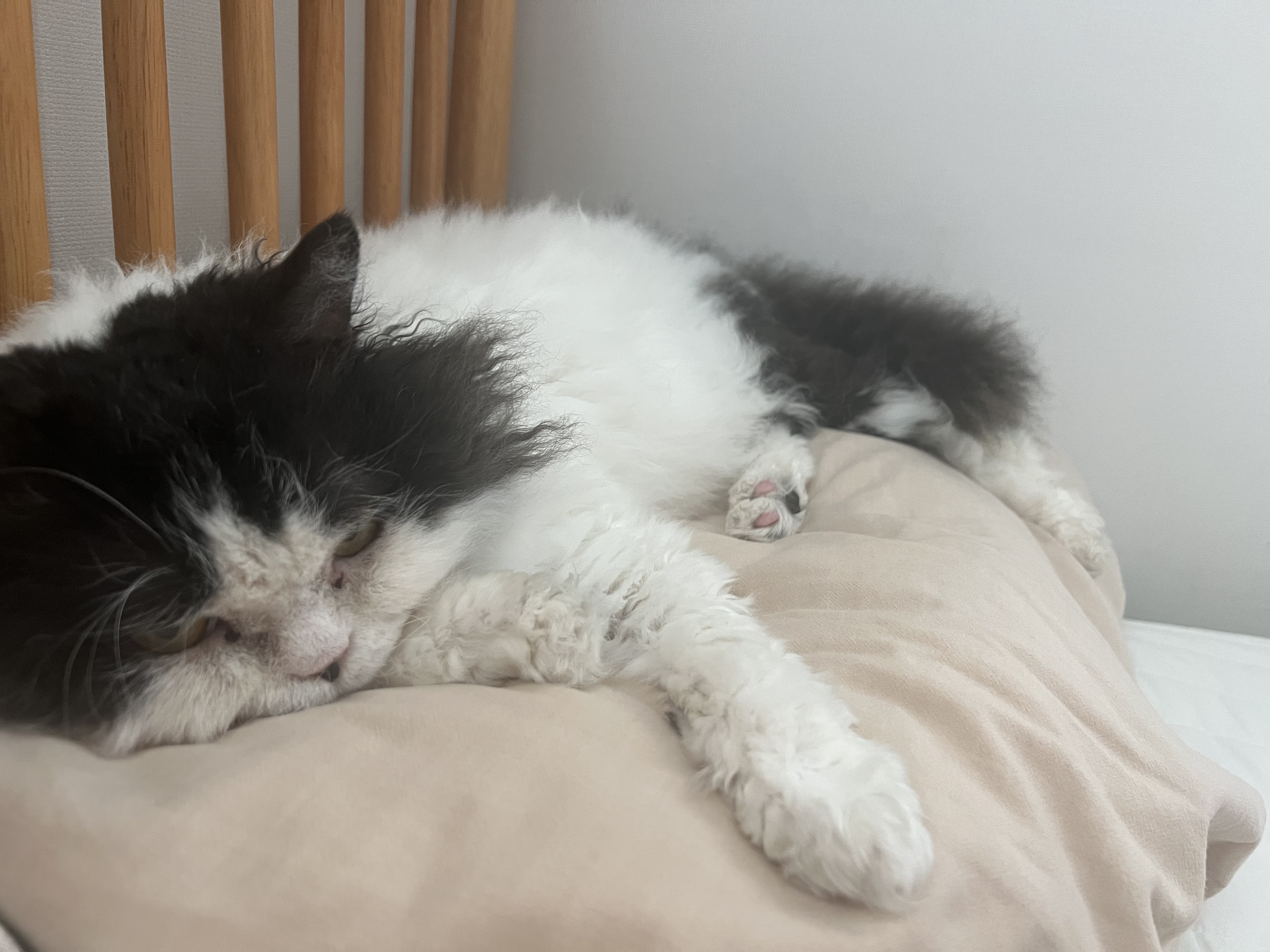 하루의 세번째 하루(구 왕꿍이)