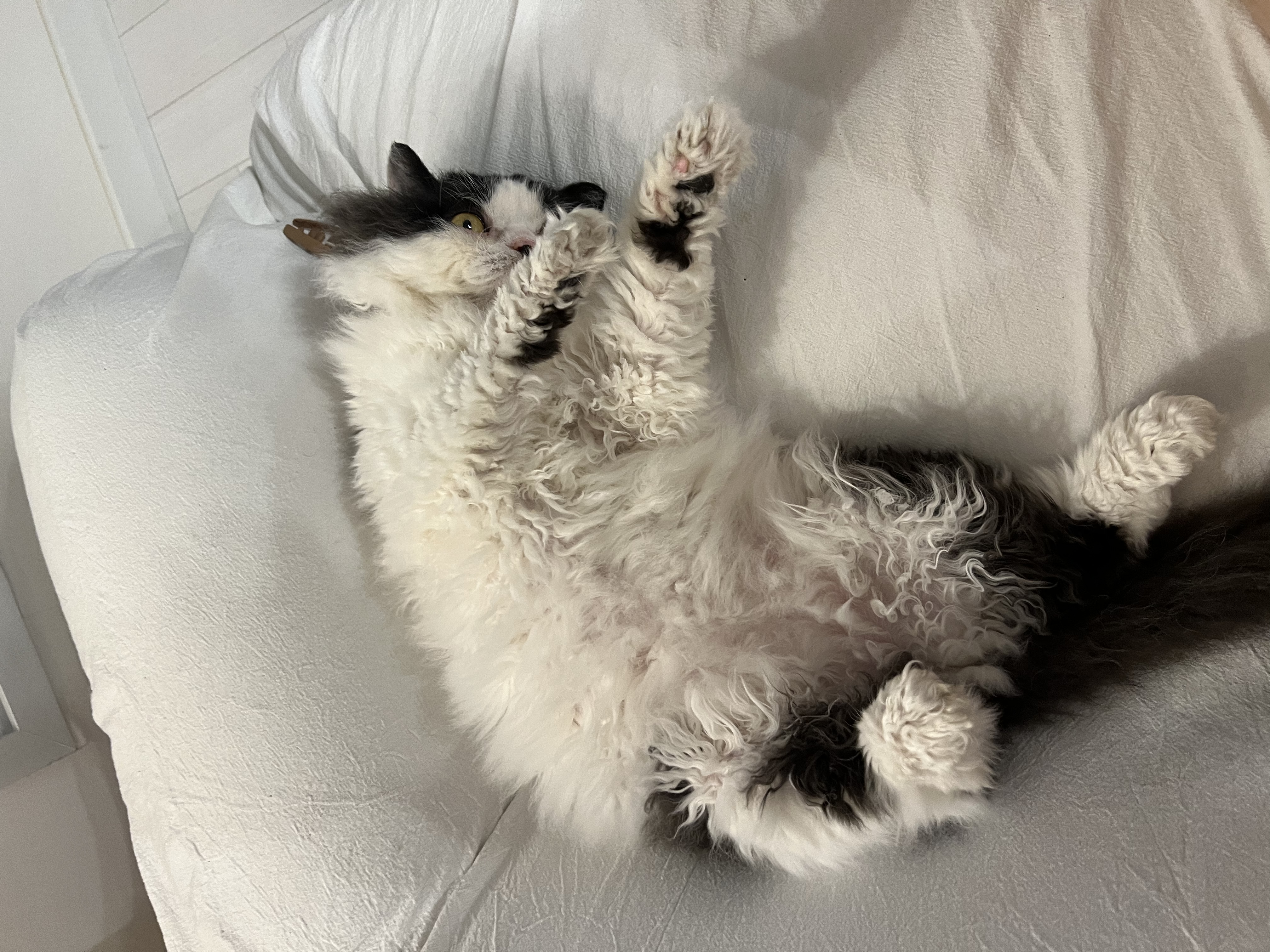 하루의 세번째 하루(구 왕꿍이)