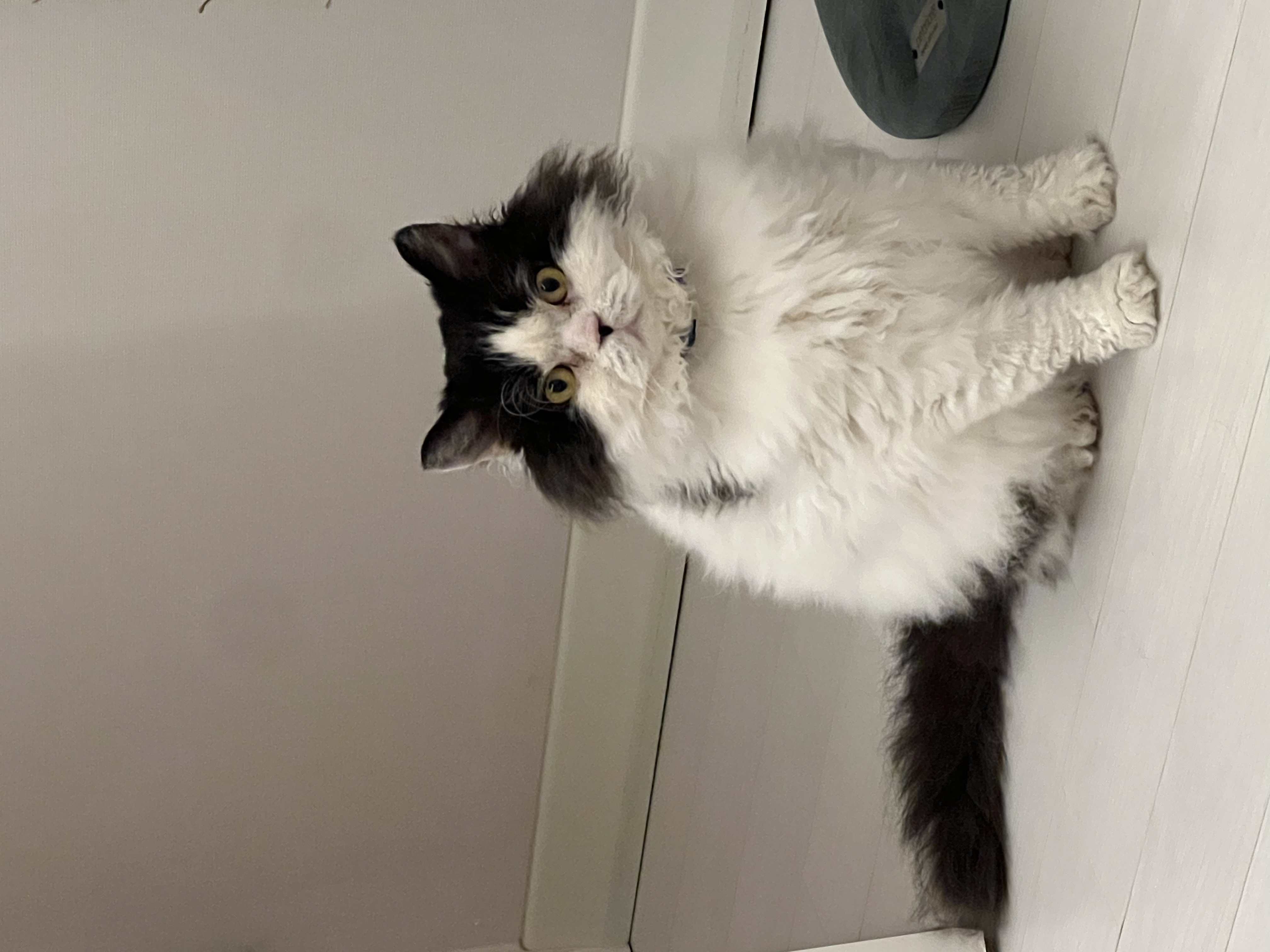 하루의 세번째 하루(구 왕꿍이)