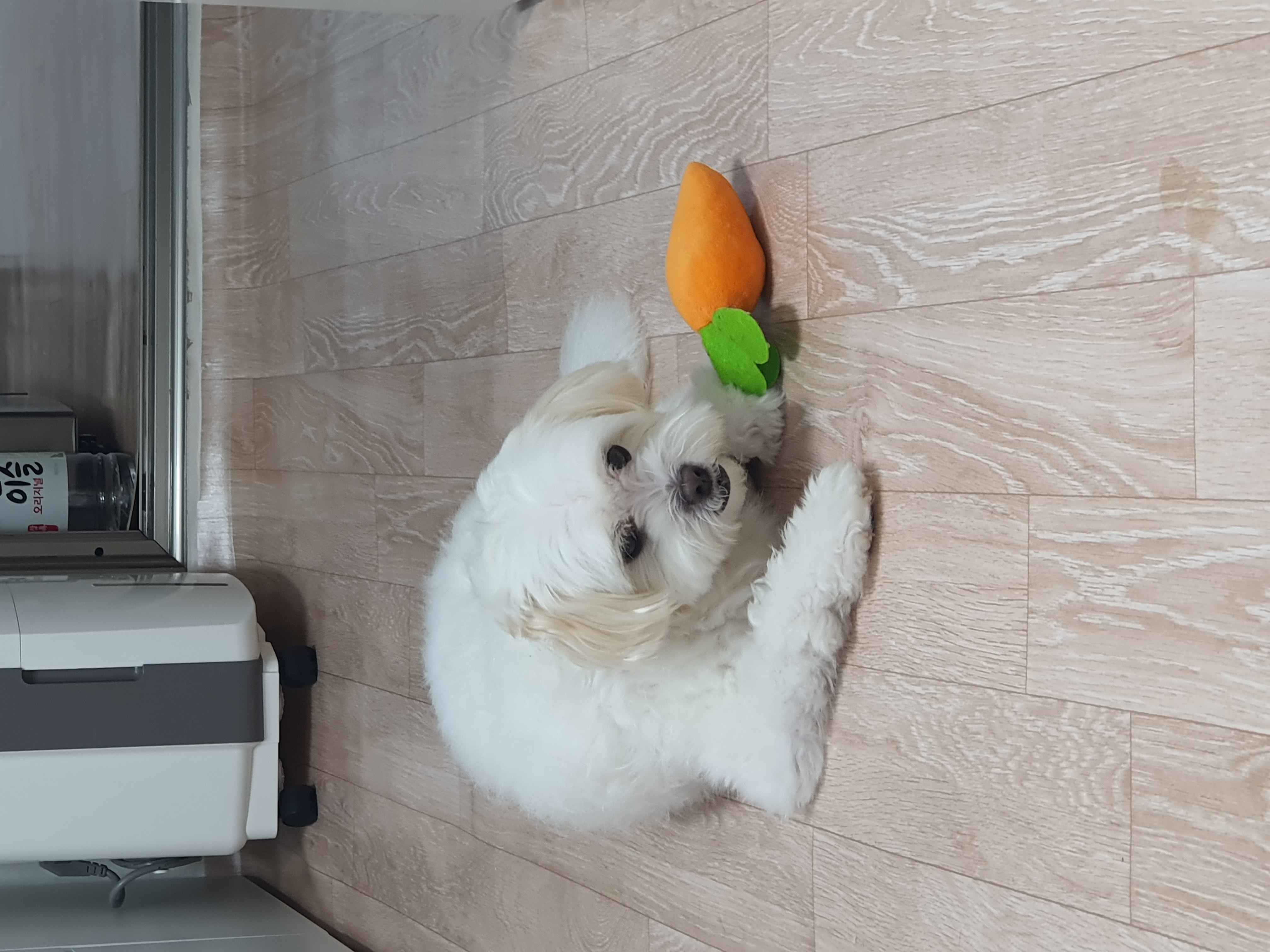 아산 아원이 가을이 2년차 소식 전합니다