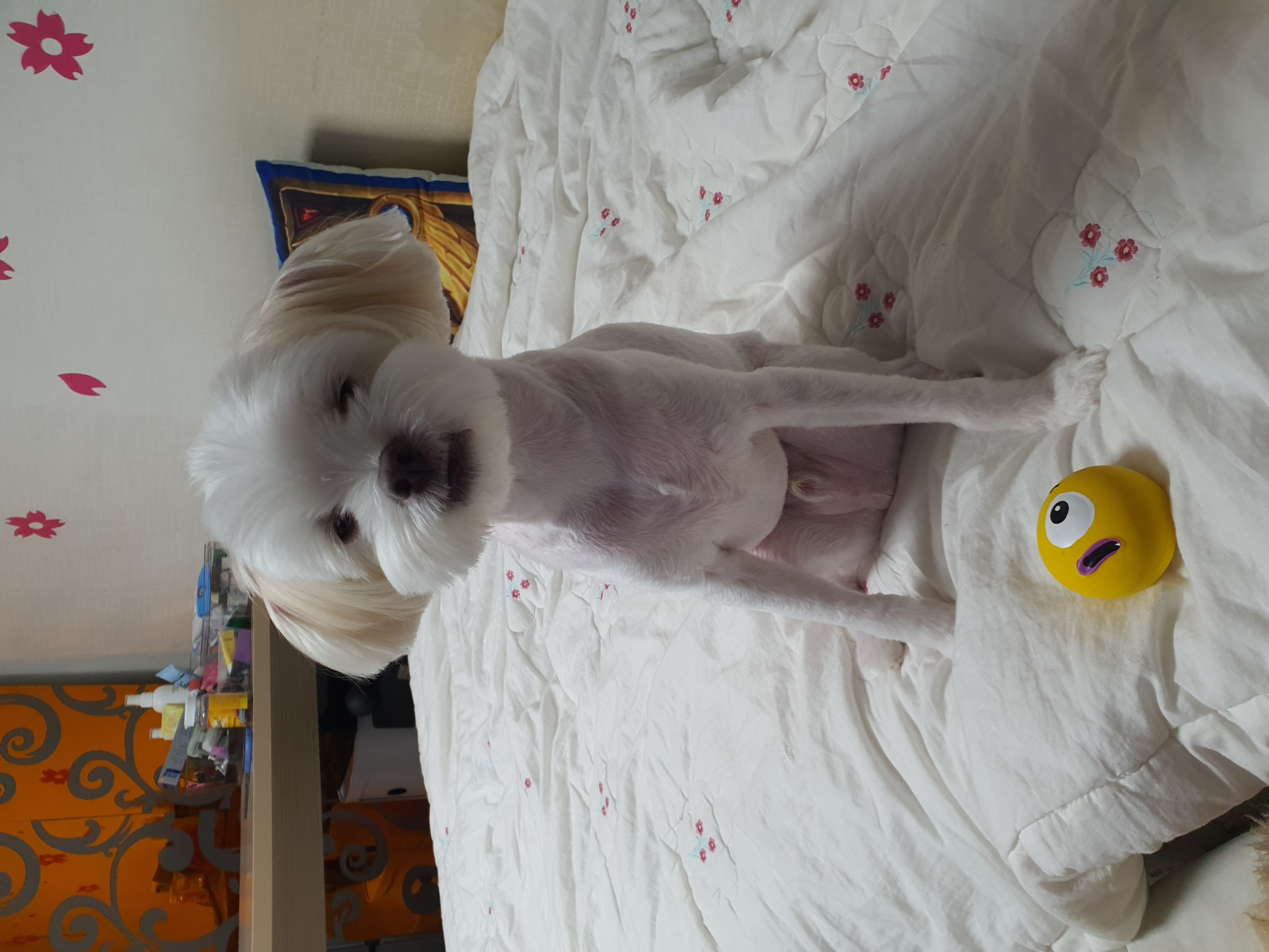 아산 아원이 가을이 2년차 소식 전합니다