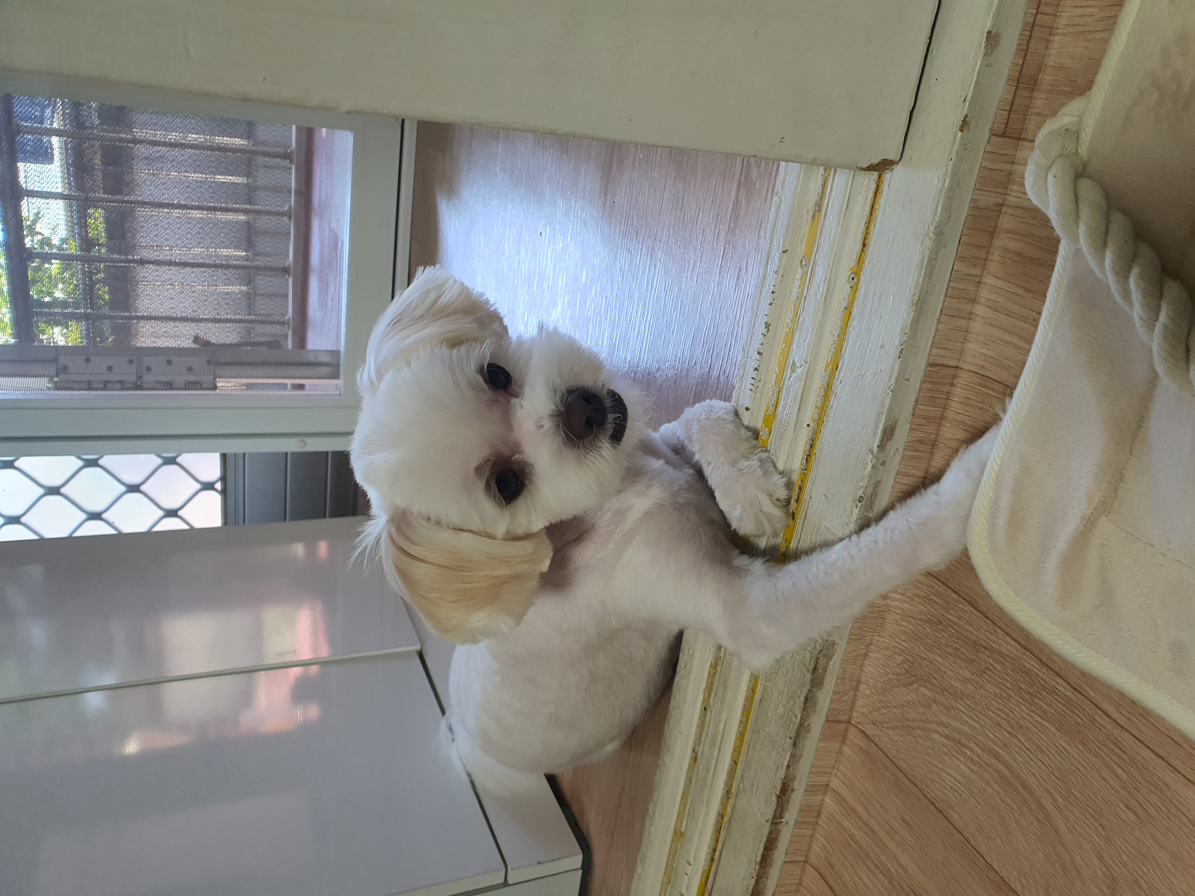 아산 아원이 가을이 2년차 소식 전합니다