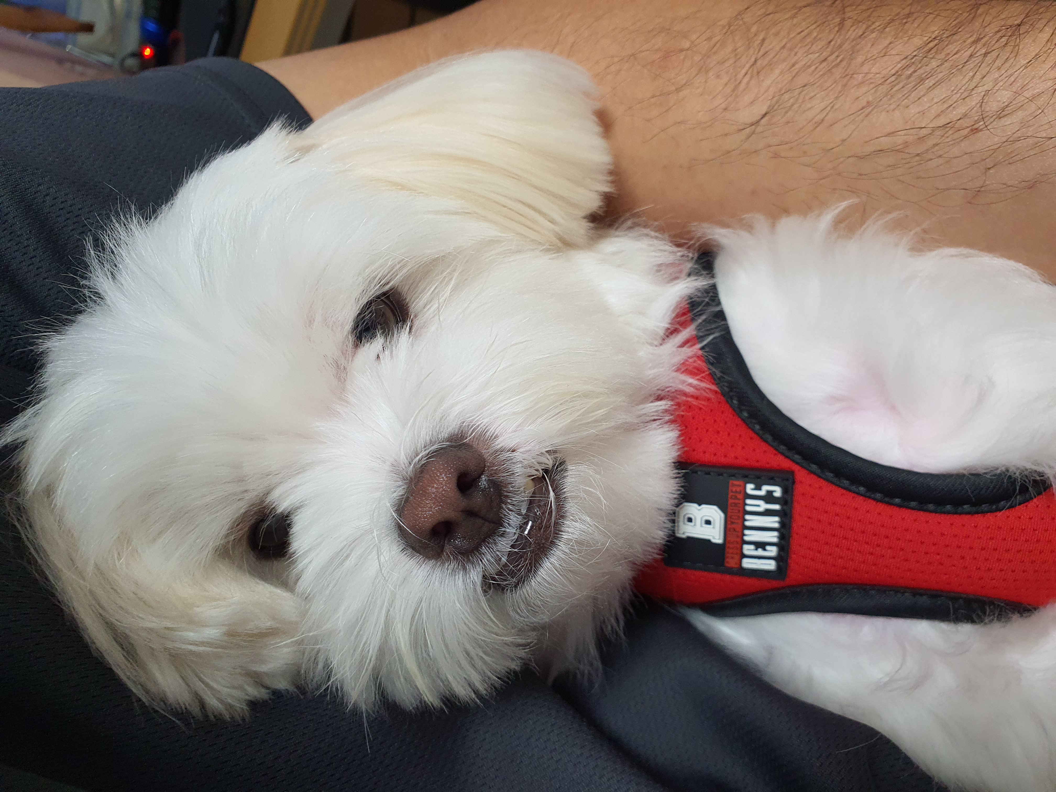 아산 아원이 가을이 2년차 소식 전합니다