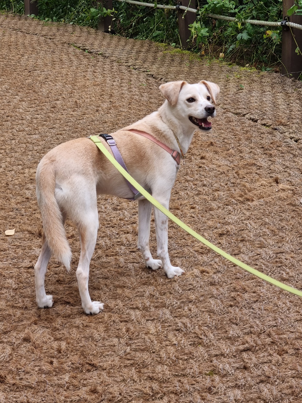구 멍구 현 아토 4년차♡
