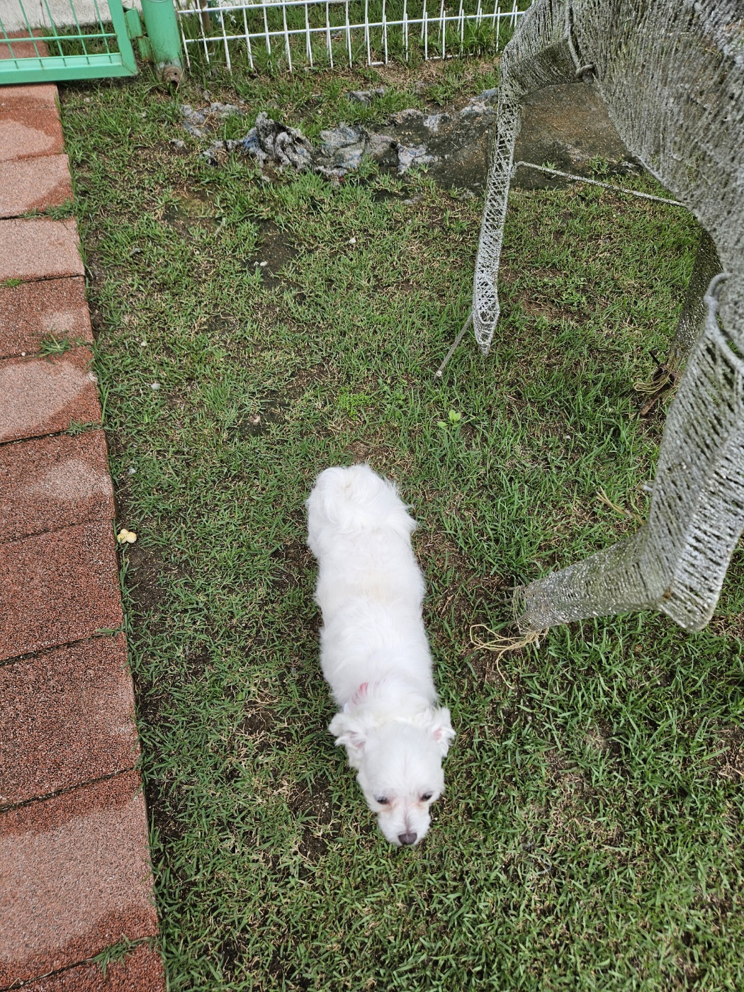 민성(구. 유성) 일상