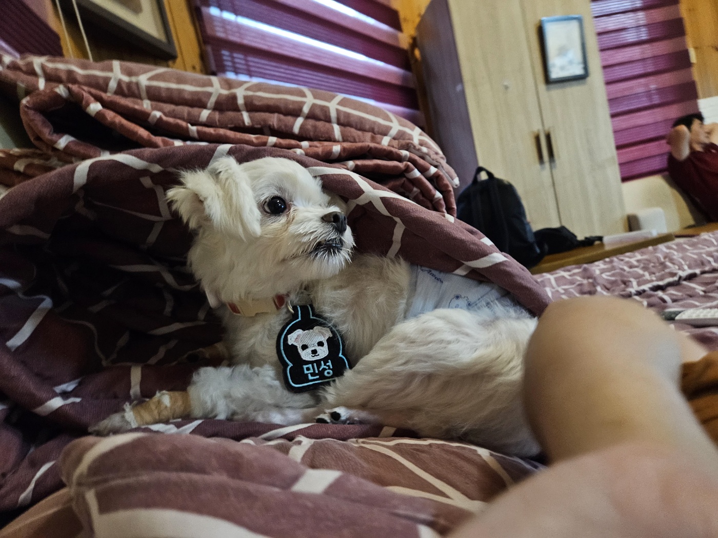 민성(구. 유성) 일상