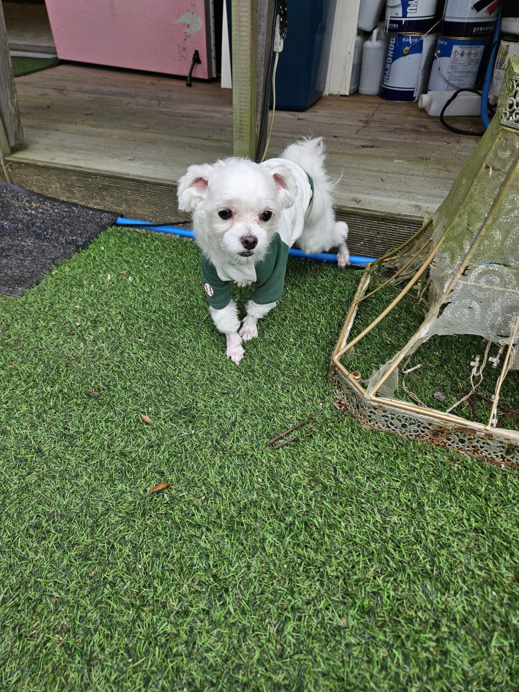 민성(구. 유성) 일상