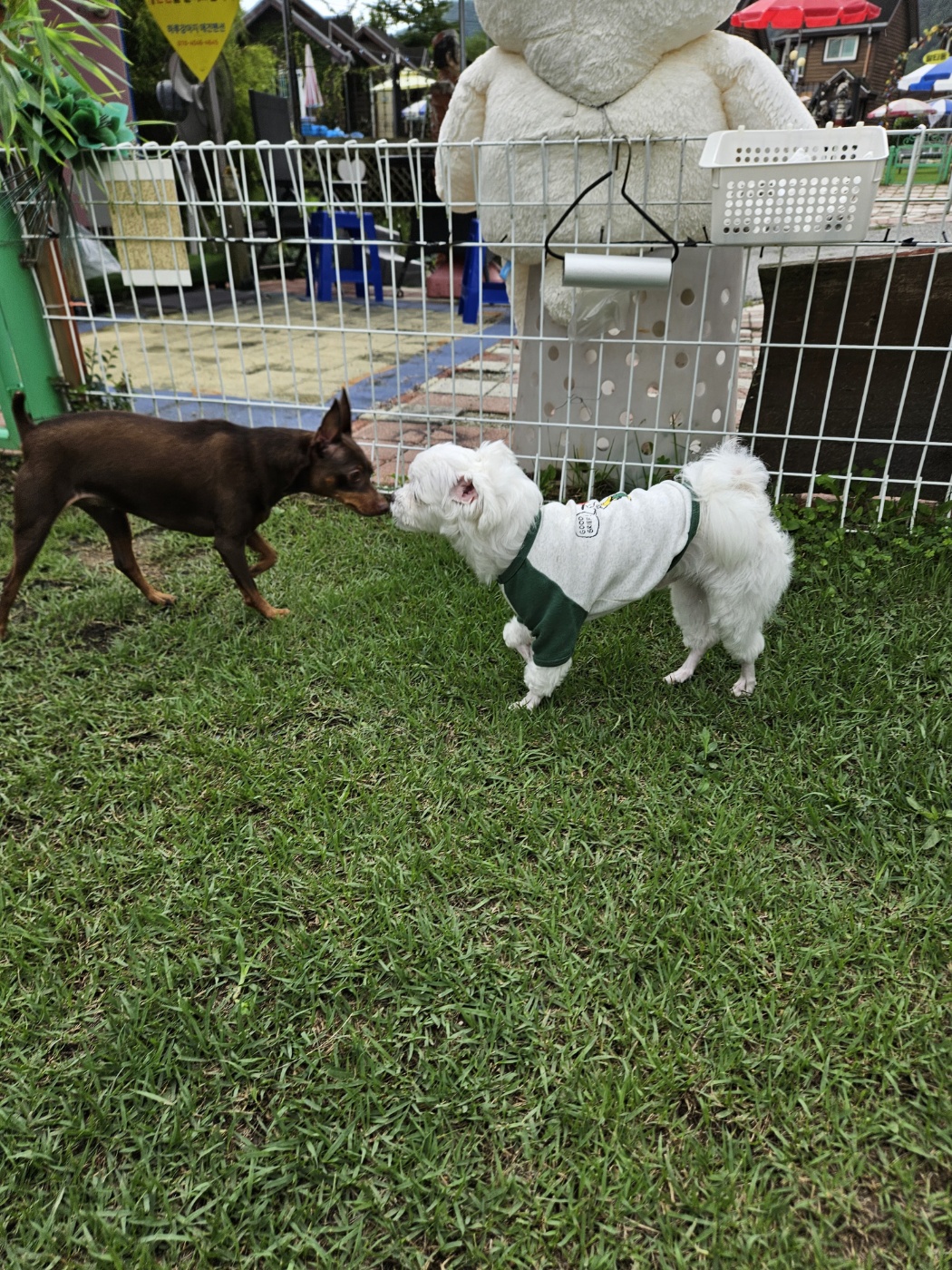 민성(구. 유성) 일상