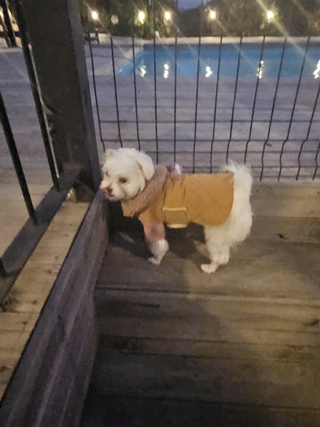 민성(구. 유성) 일상