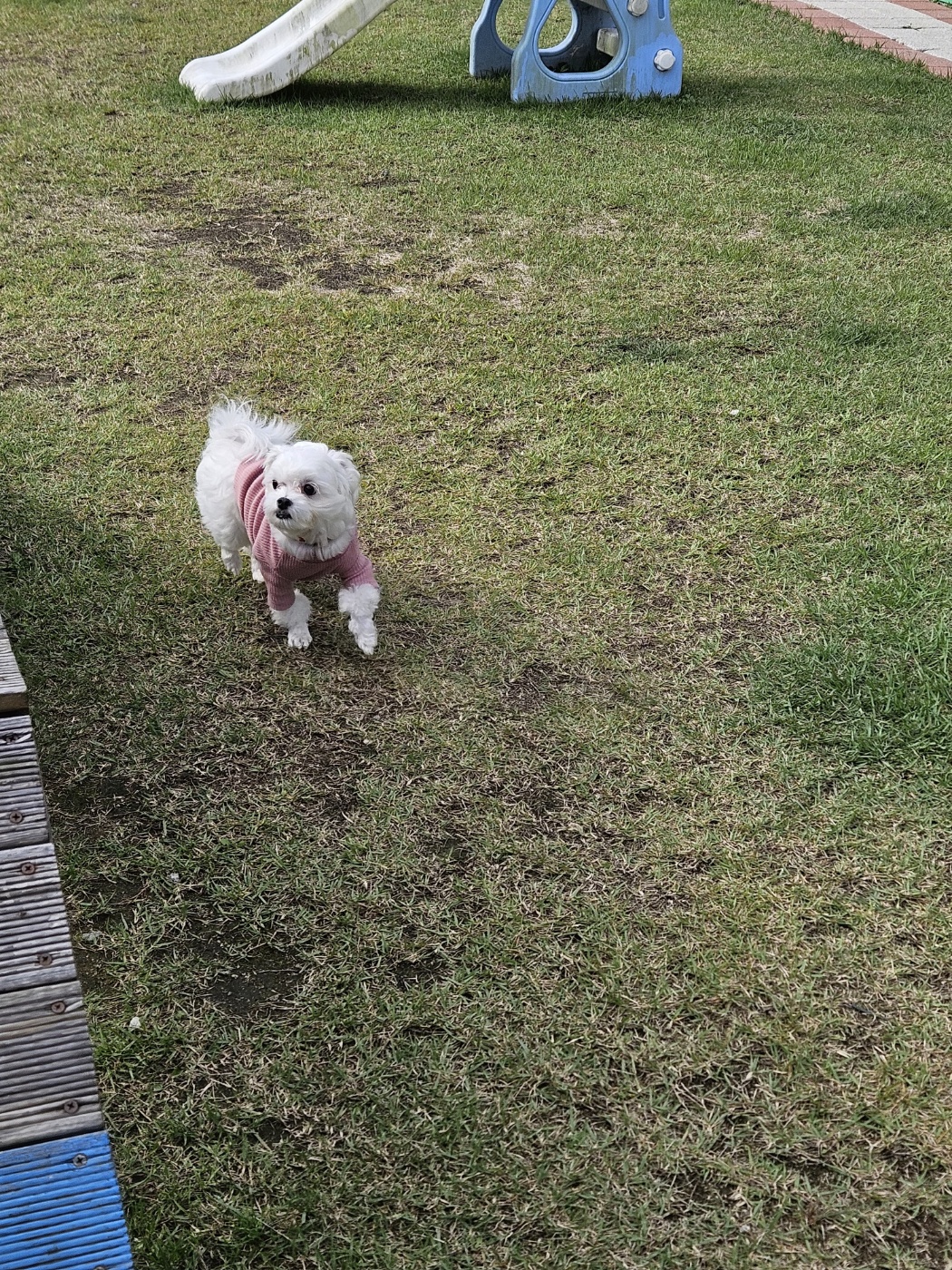 민성(구. 유성) 일상