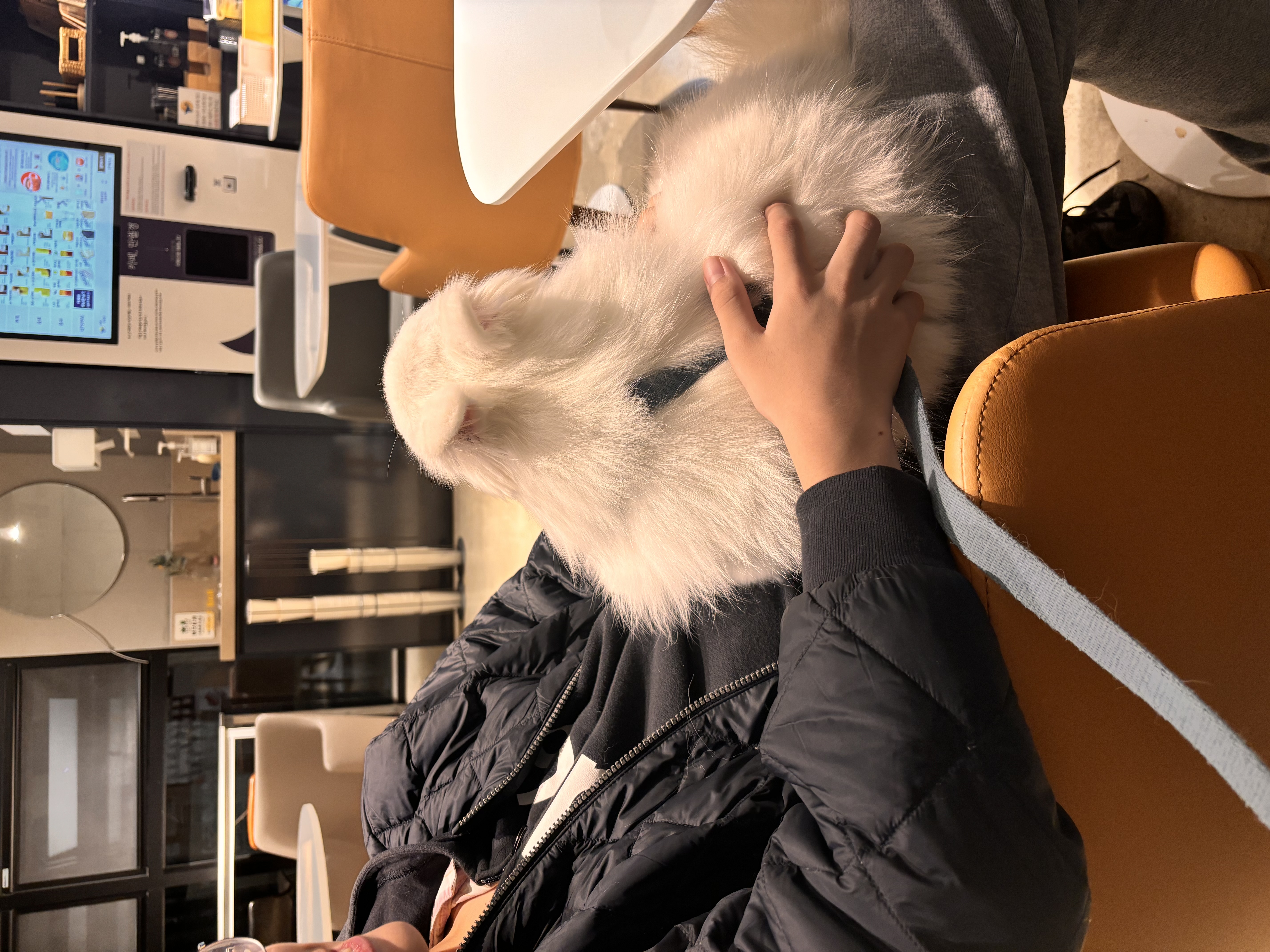 뽀해 임보이야기