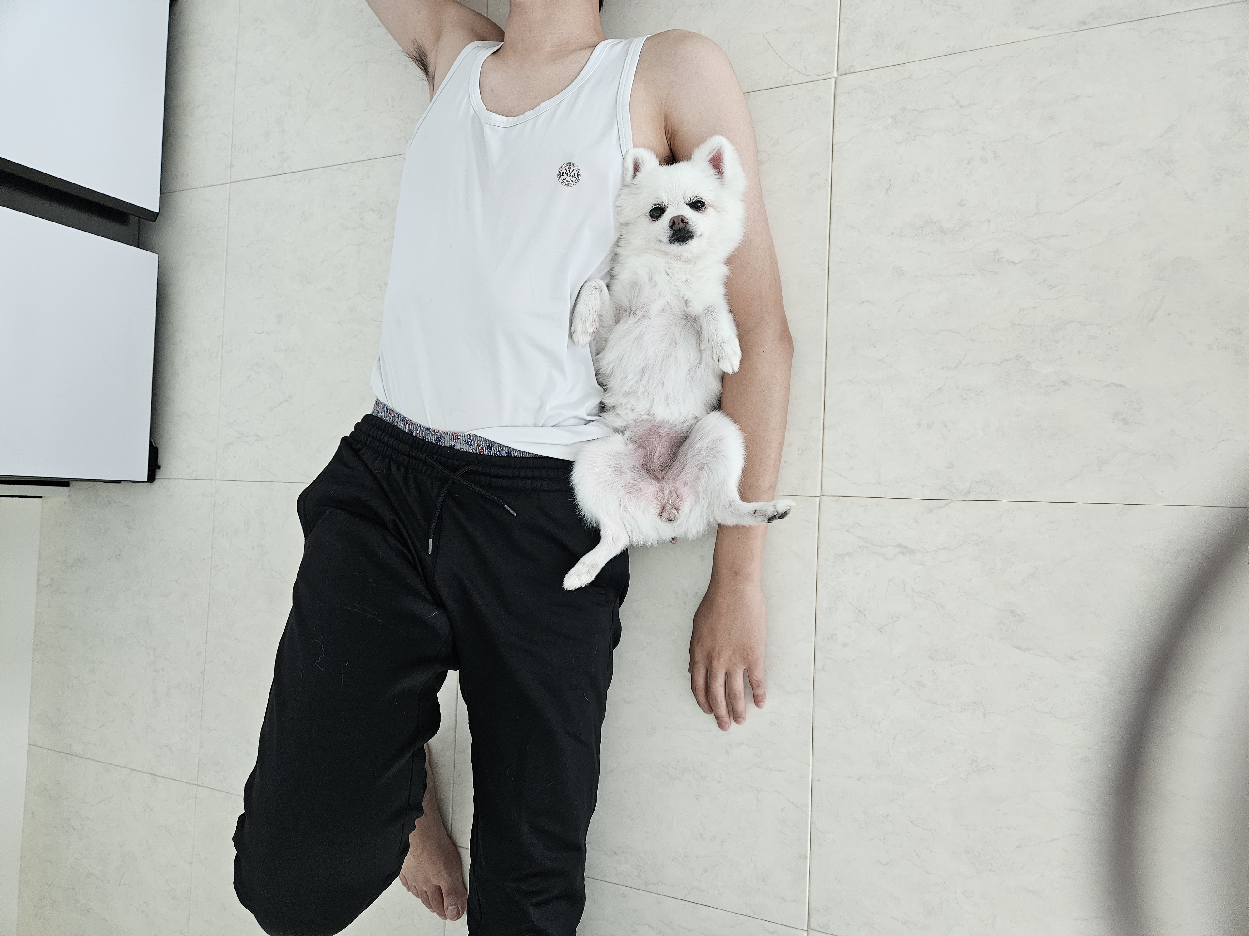 보슬이 임보1달