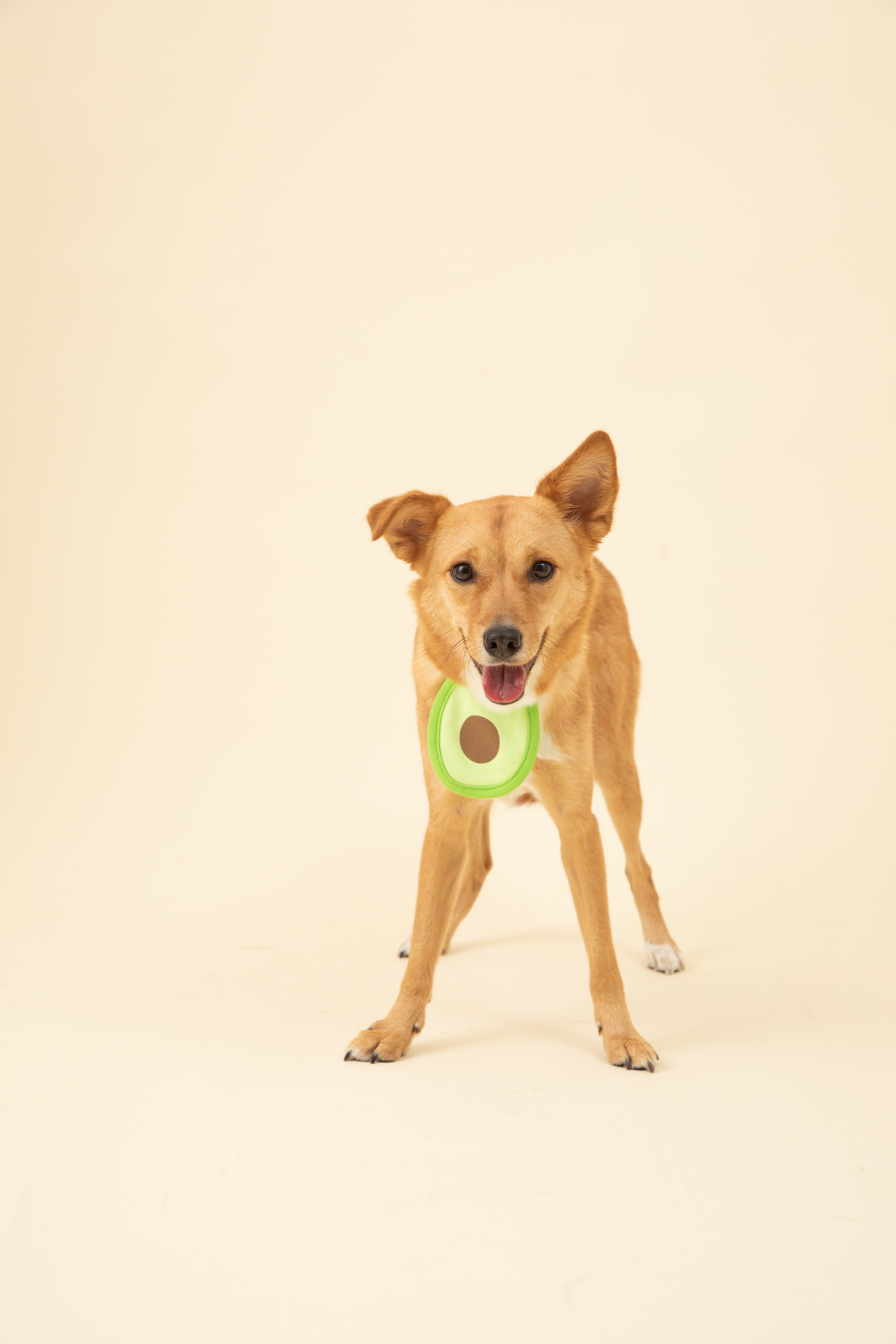 찌그(깜빛이) 1년 후기입니다