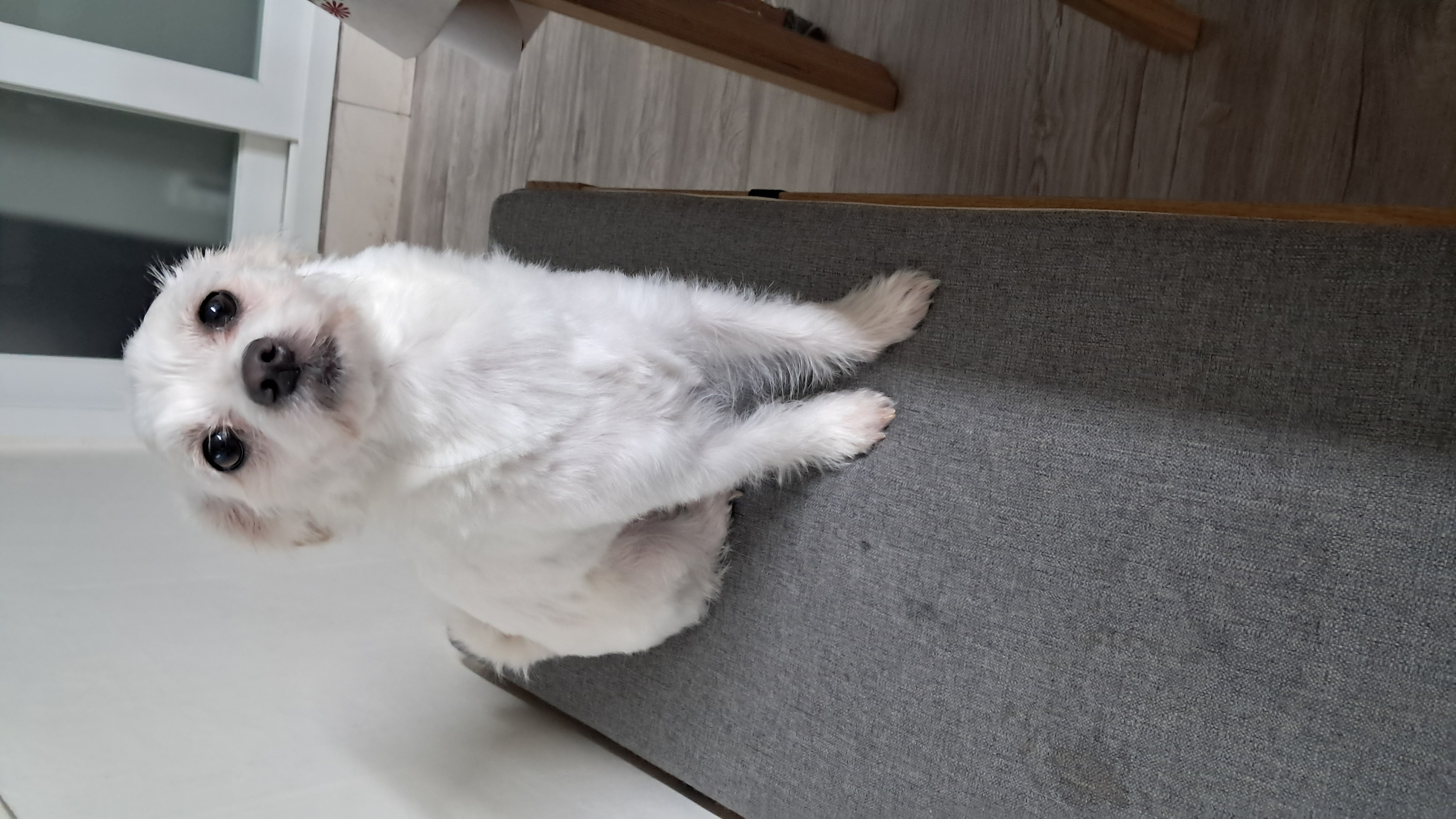 이브(원투) 잘 지내고 있어요^^