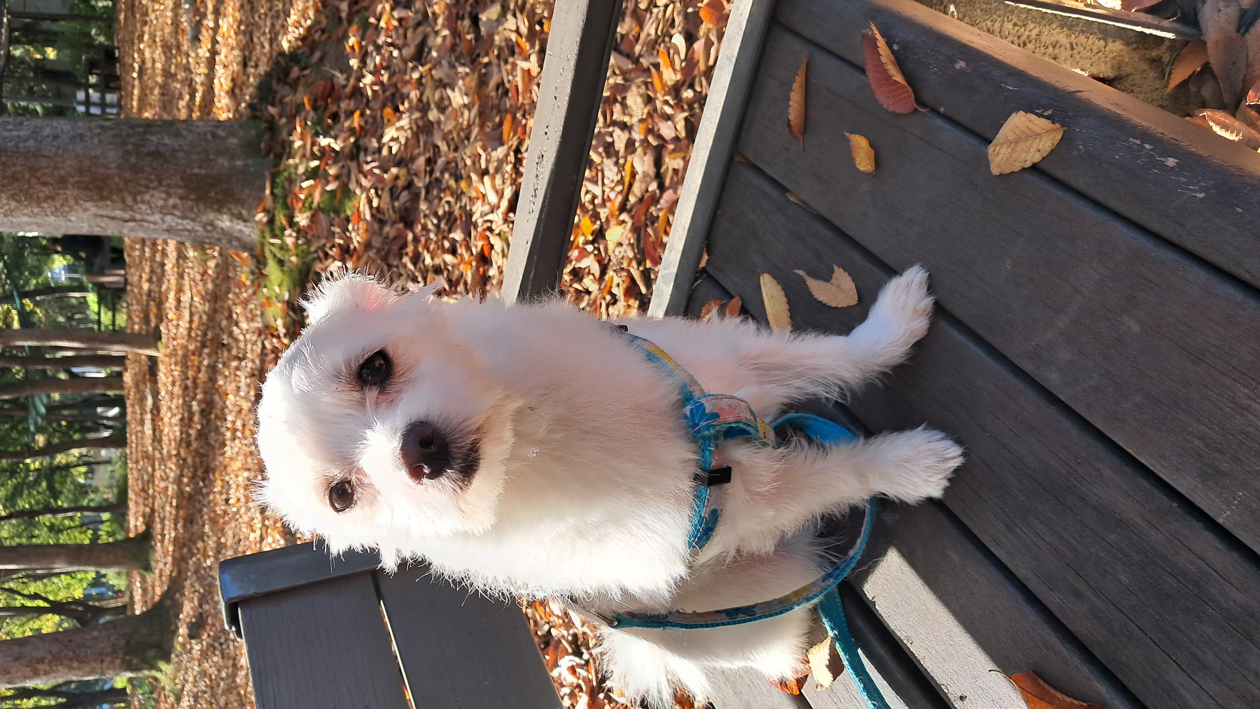 이브(원투) 잘 지내고 있어요^^