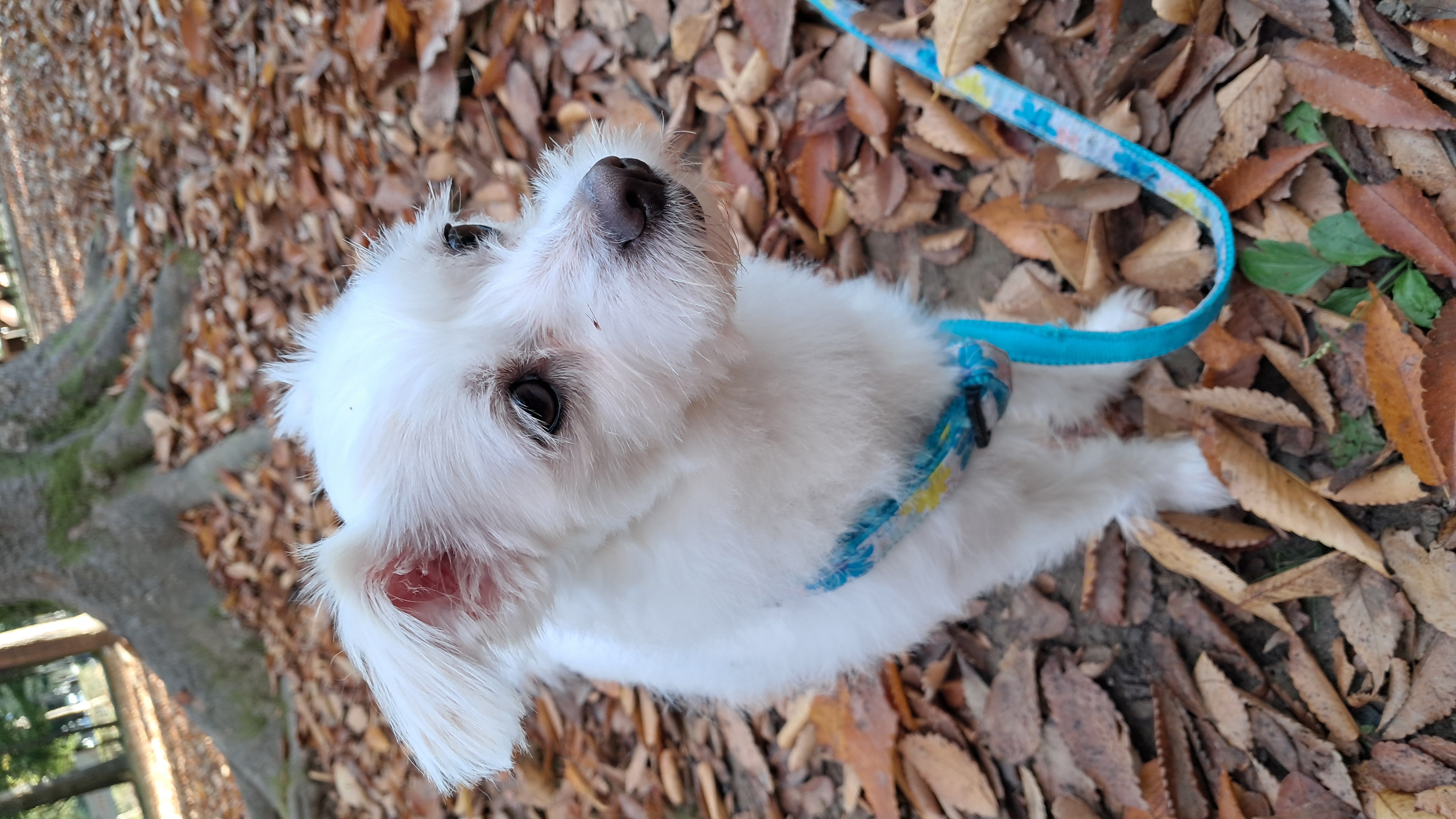 이브(원투) 잘 지내고 있어요^^