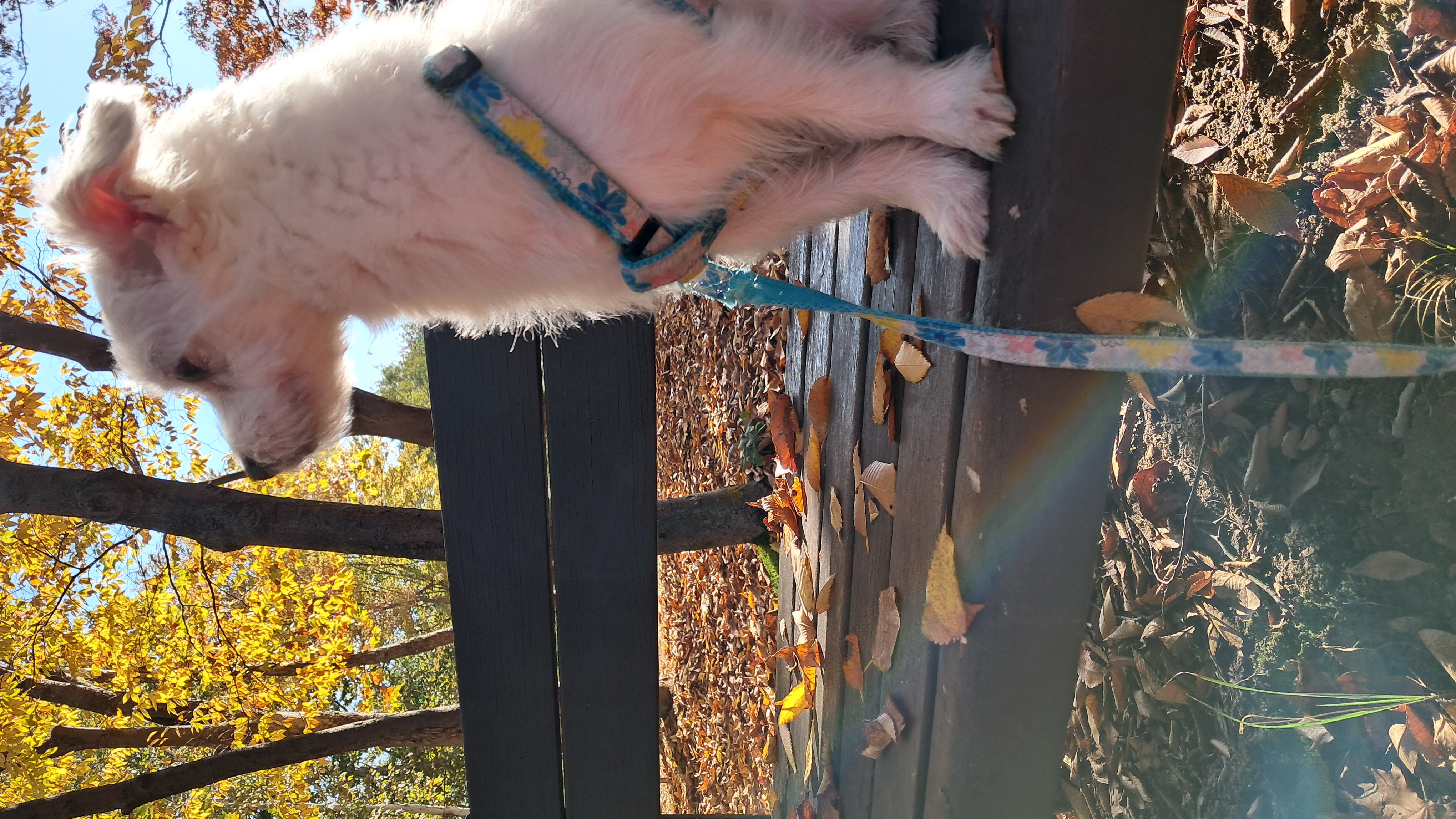 이브(원투) 잘 지내고 있어요^^