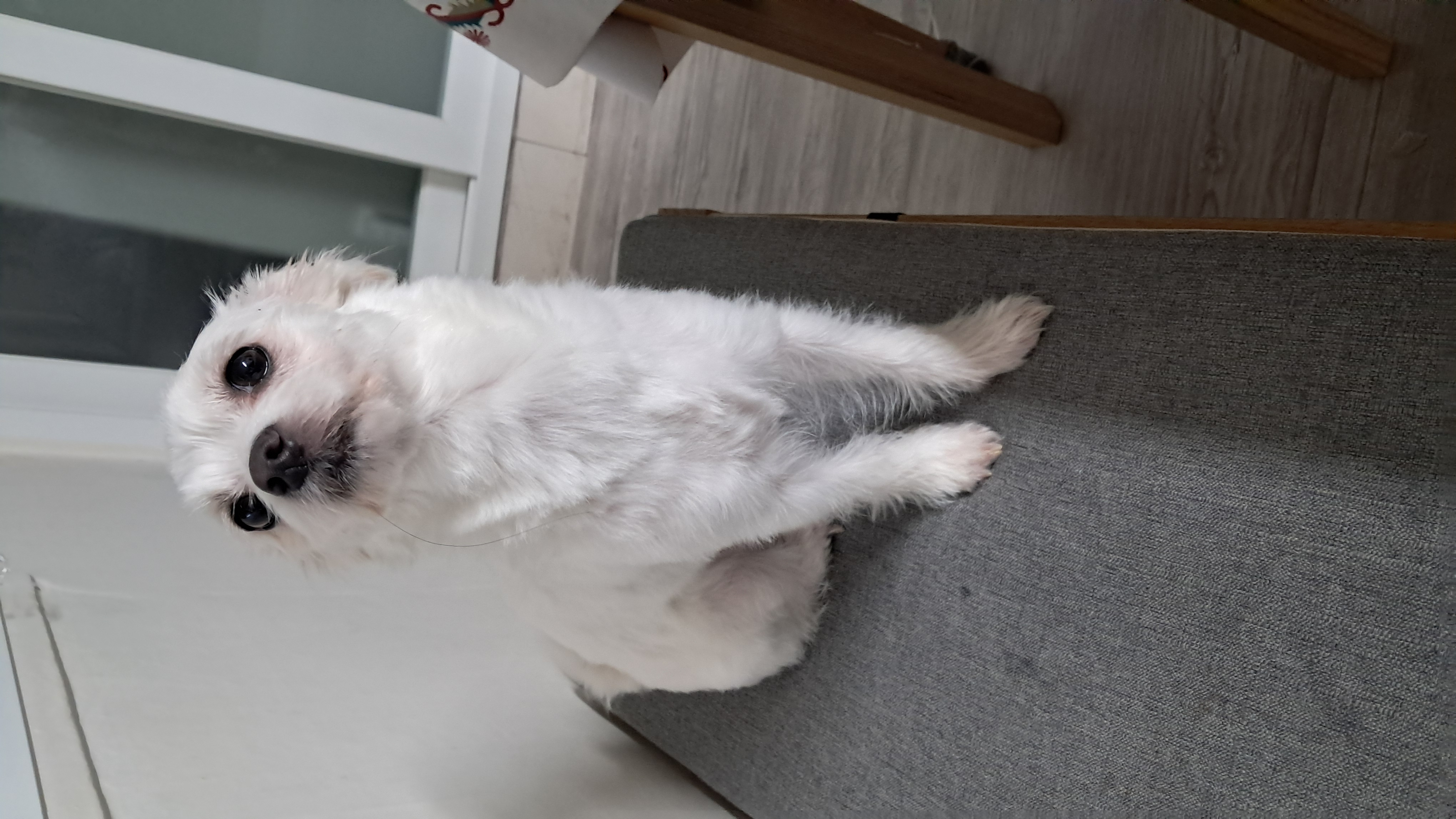 이브(원투) 잘 지내고 있어요^^