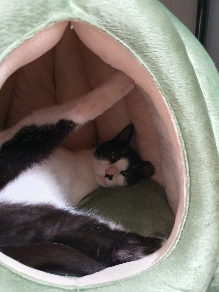 바담이 소식 올려요~